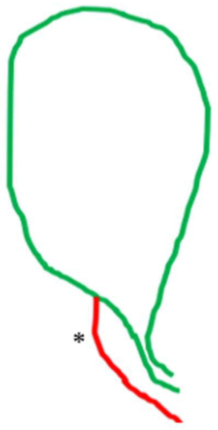 Medicina 60 01968 g009