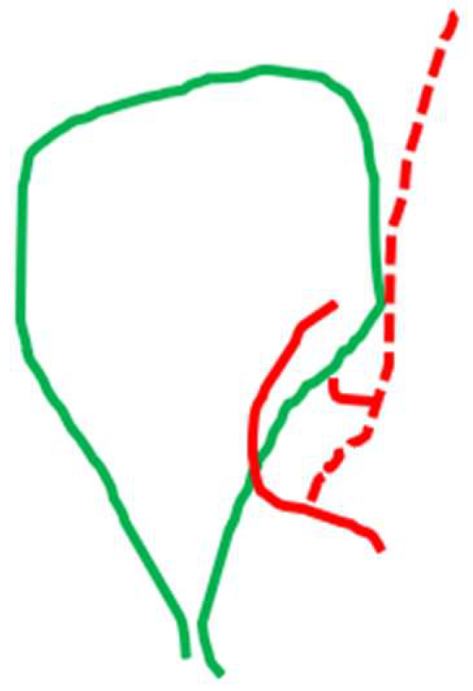 Medicina 60 01968 g010