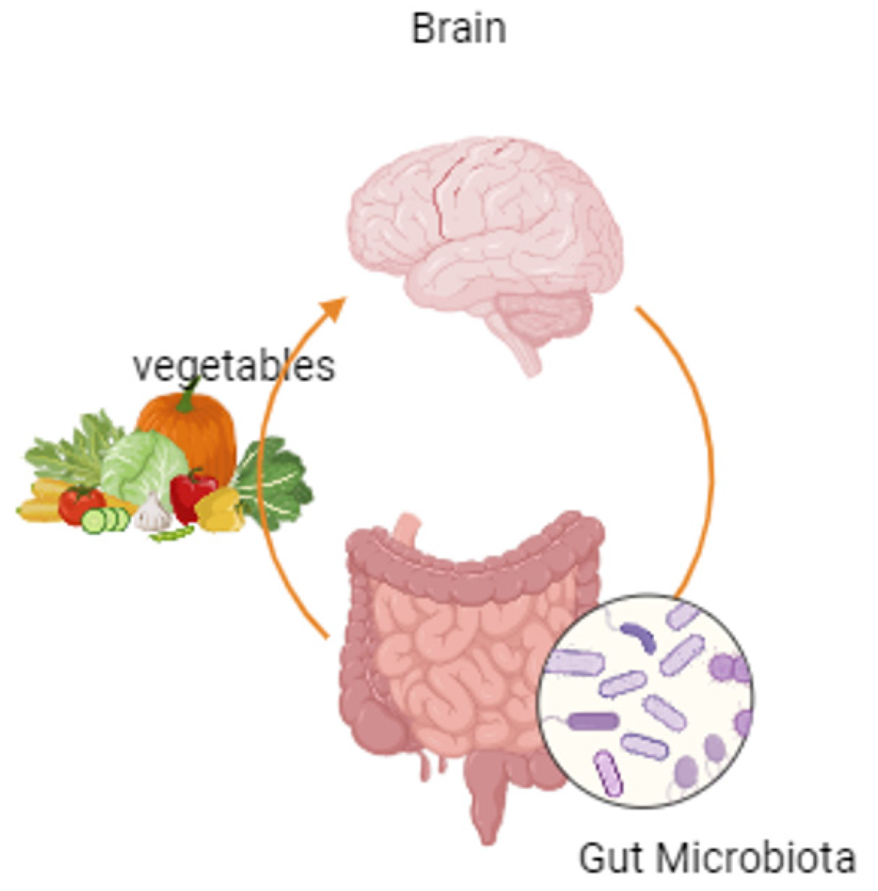 Medicina 60 01969 g003