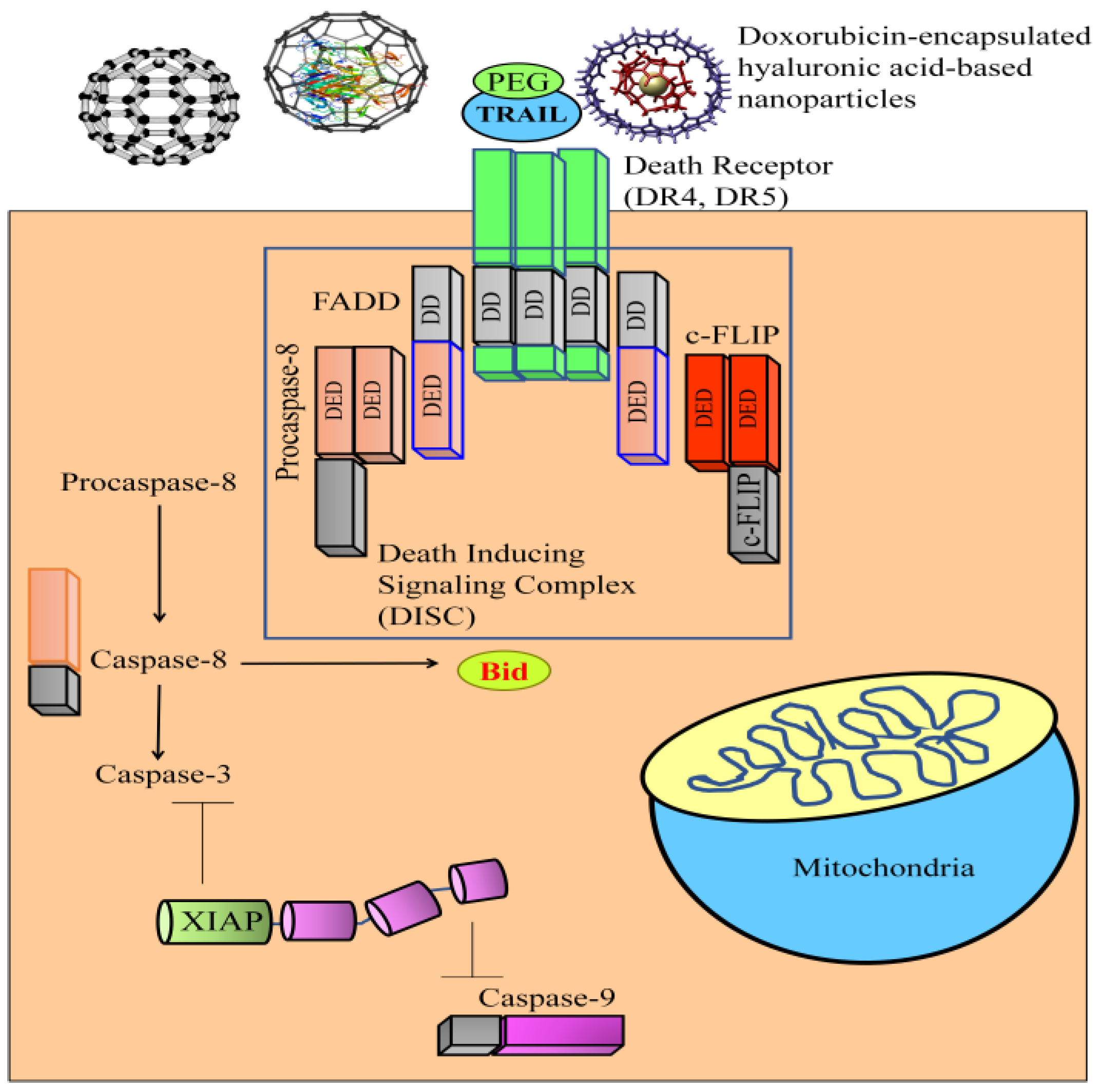 Medicina 60 01977 g001 Medicina 60 01977 g001
