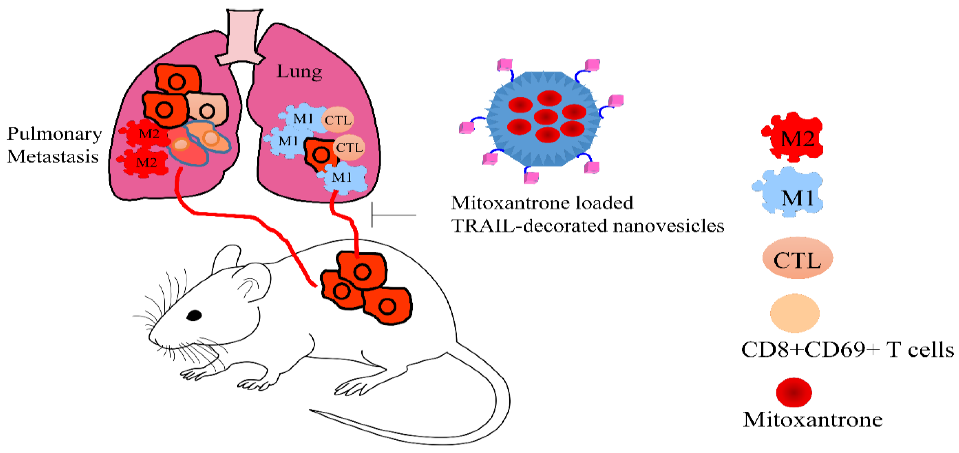 Medicina 60 01977 g003 Medicina 60 01977 g003