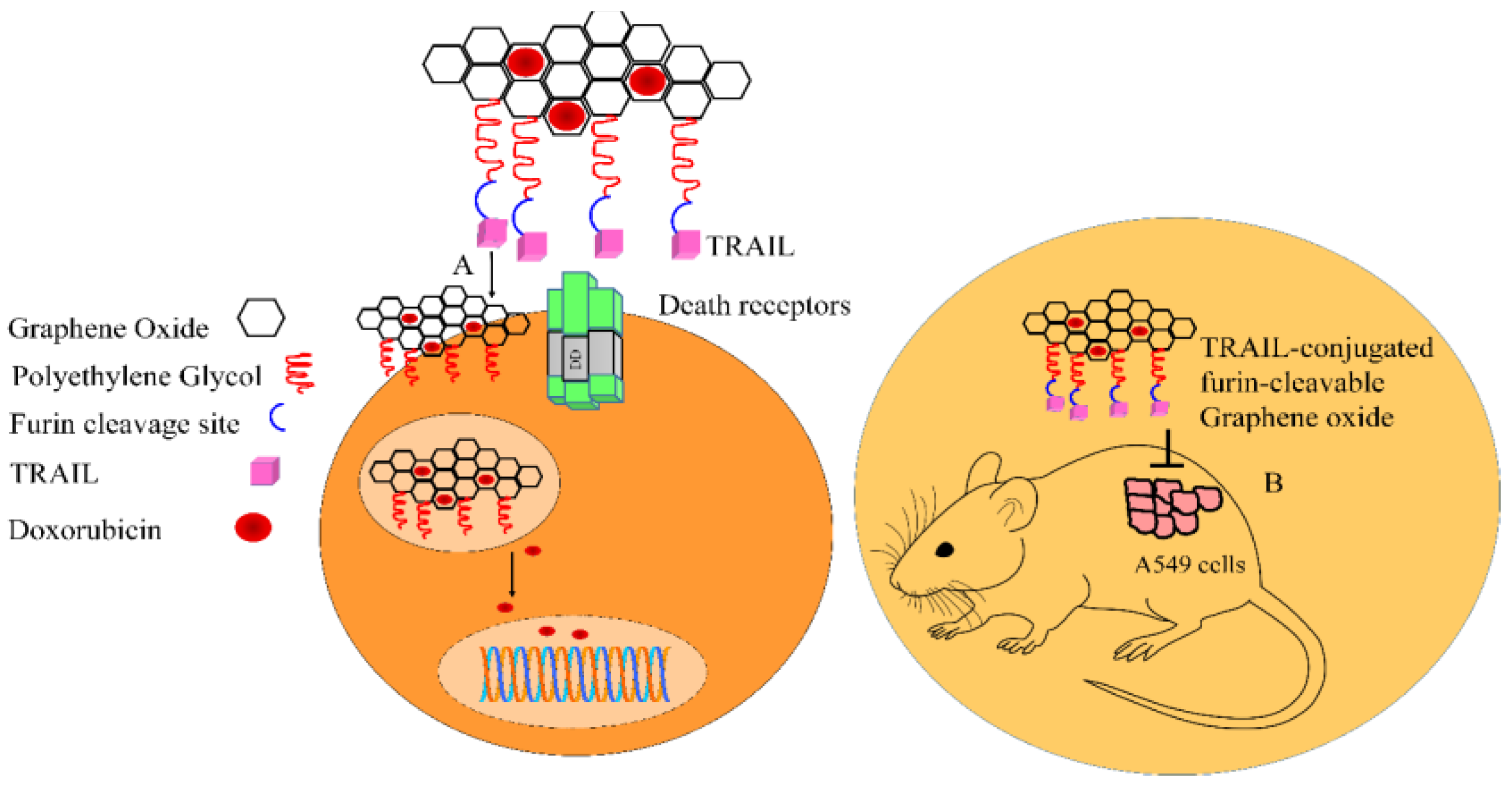 Medicina 60 01977 g004 Medicina 60 01977 g004