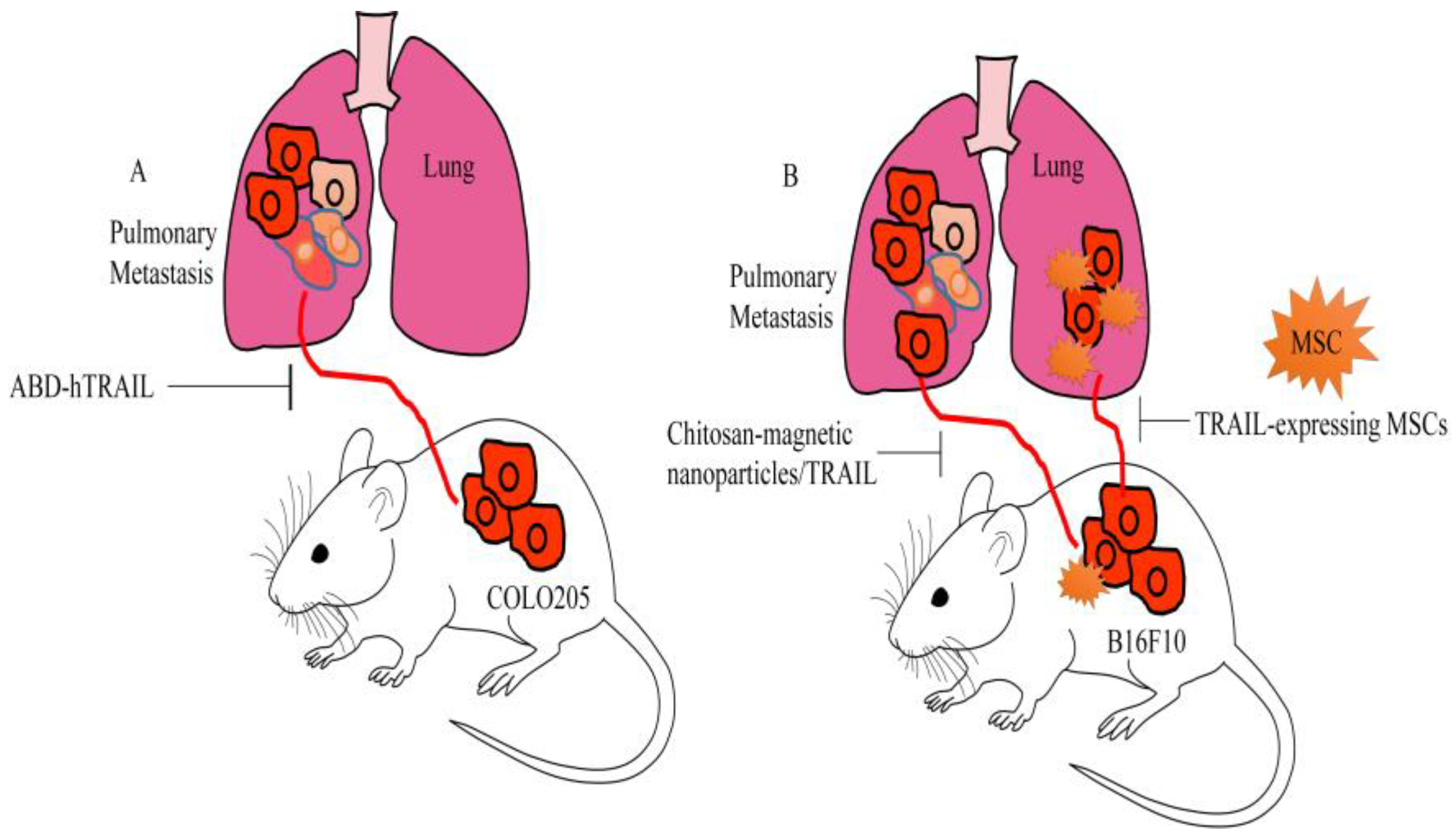 Medicina 60 01977 g005 Medicina 60 01977 g005