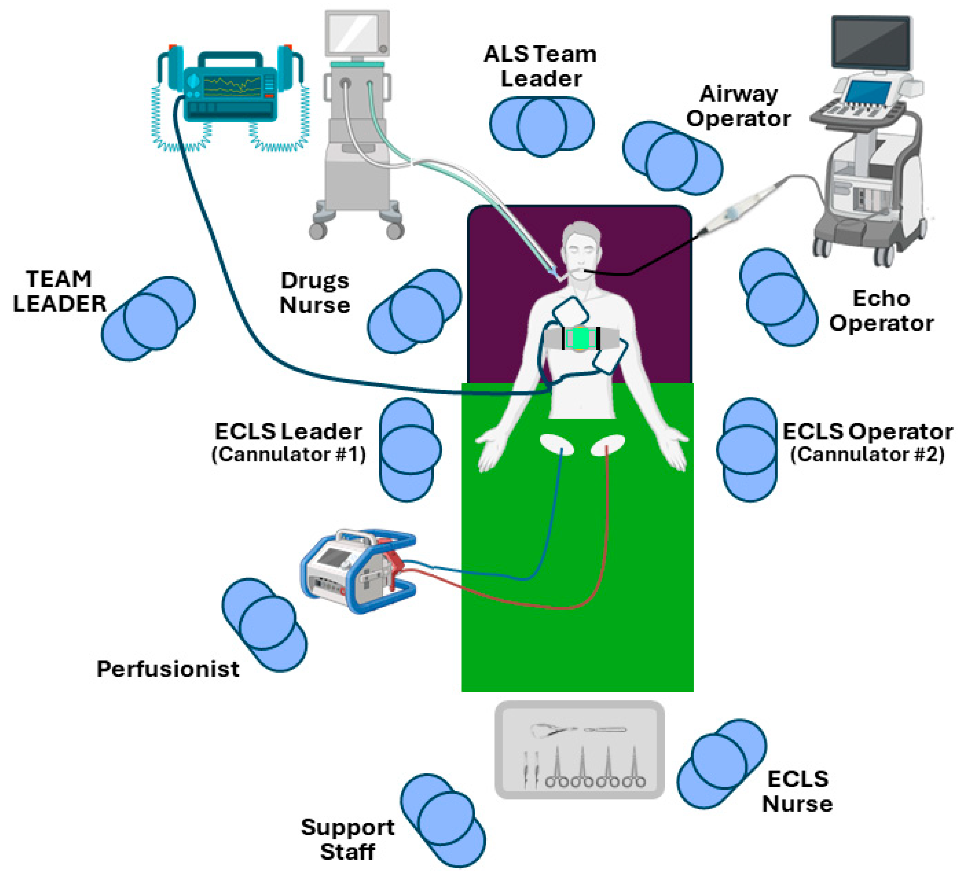 Medicina 60 01979 g001