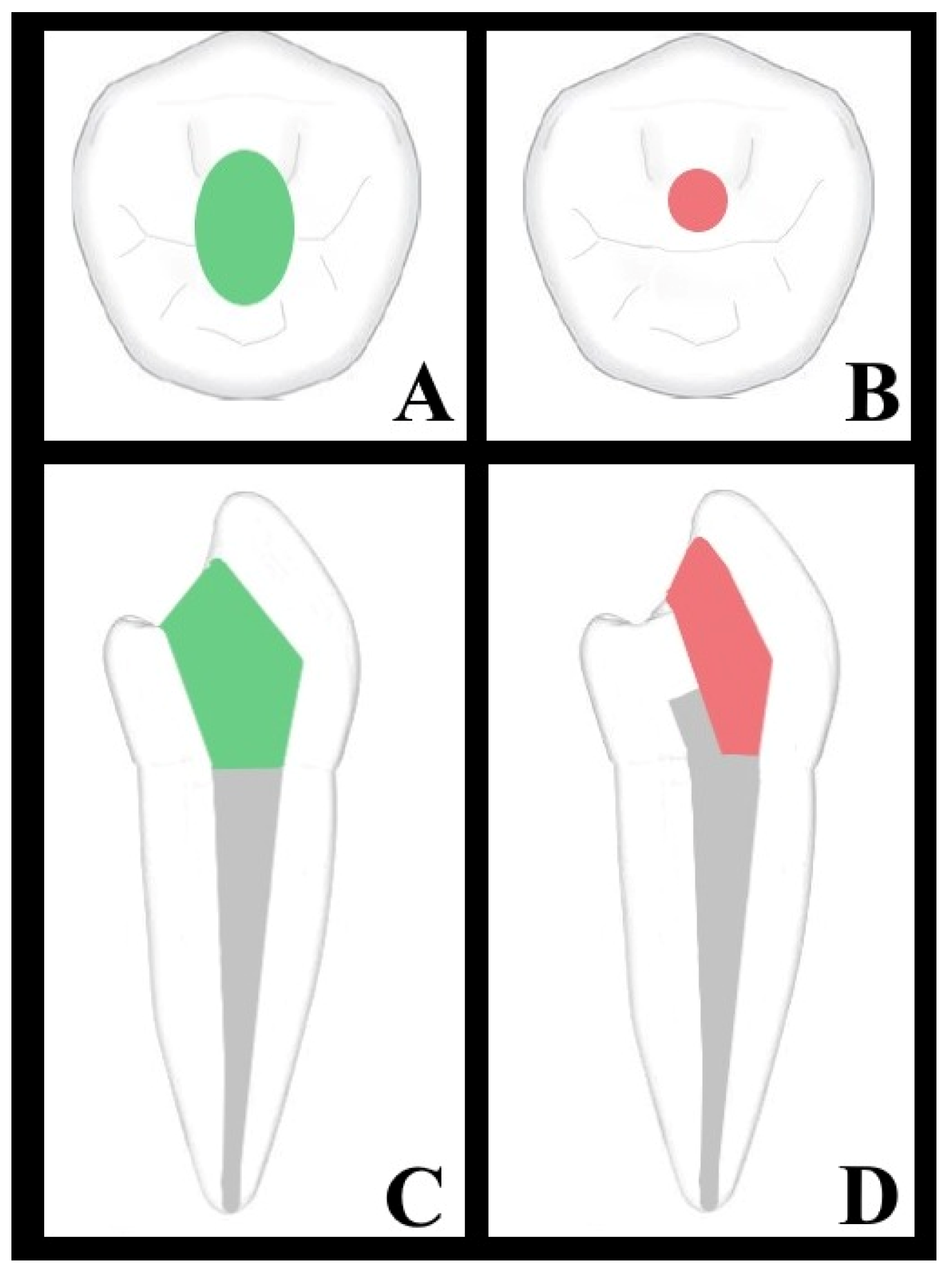 Medicina 60 01980 g001