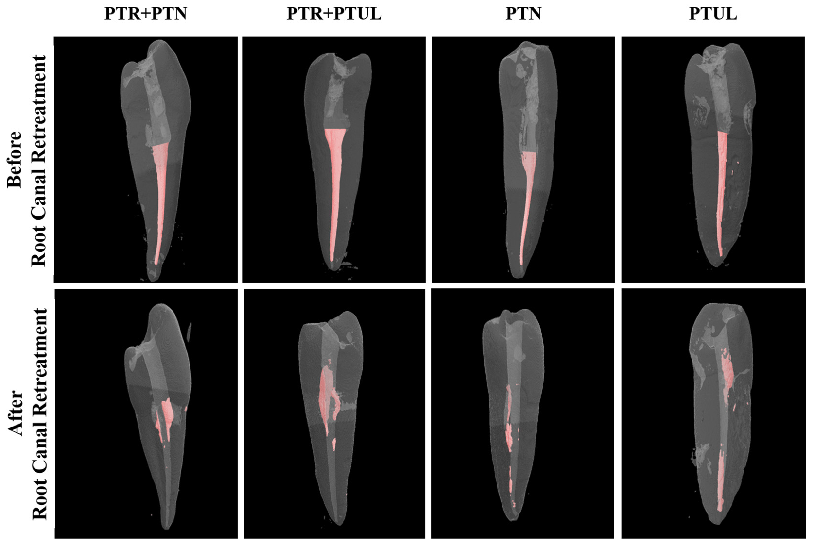 Medicina 60 01980 g003