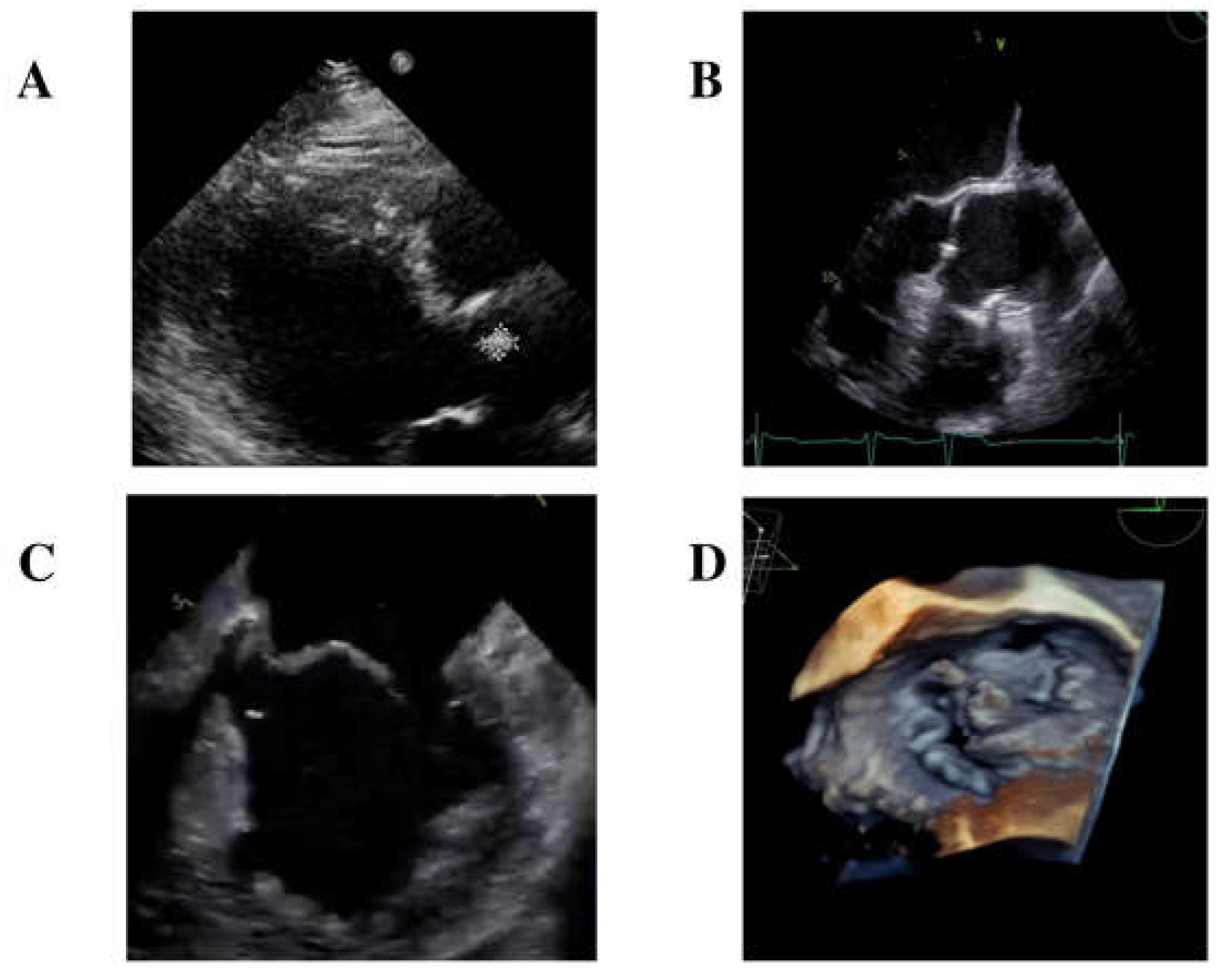 Medicina 60 01991 g001