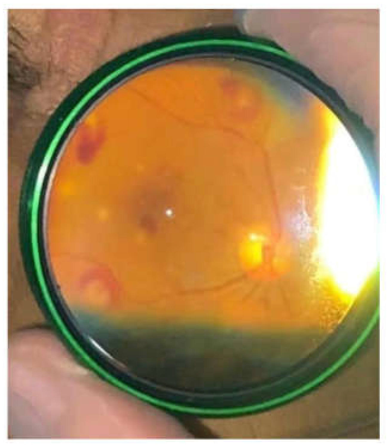 Medicina 60 01991 g002