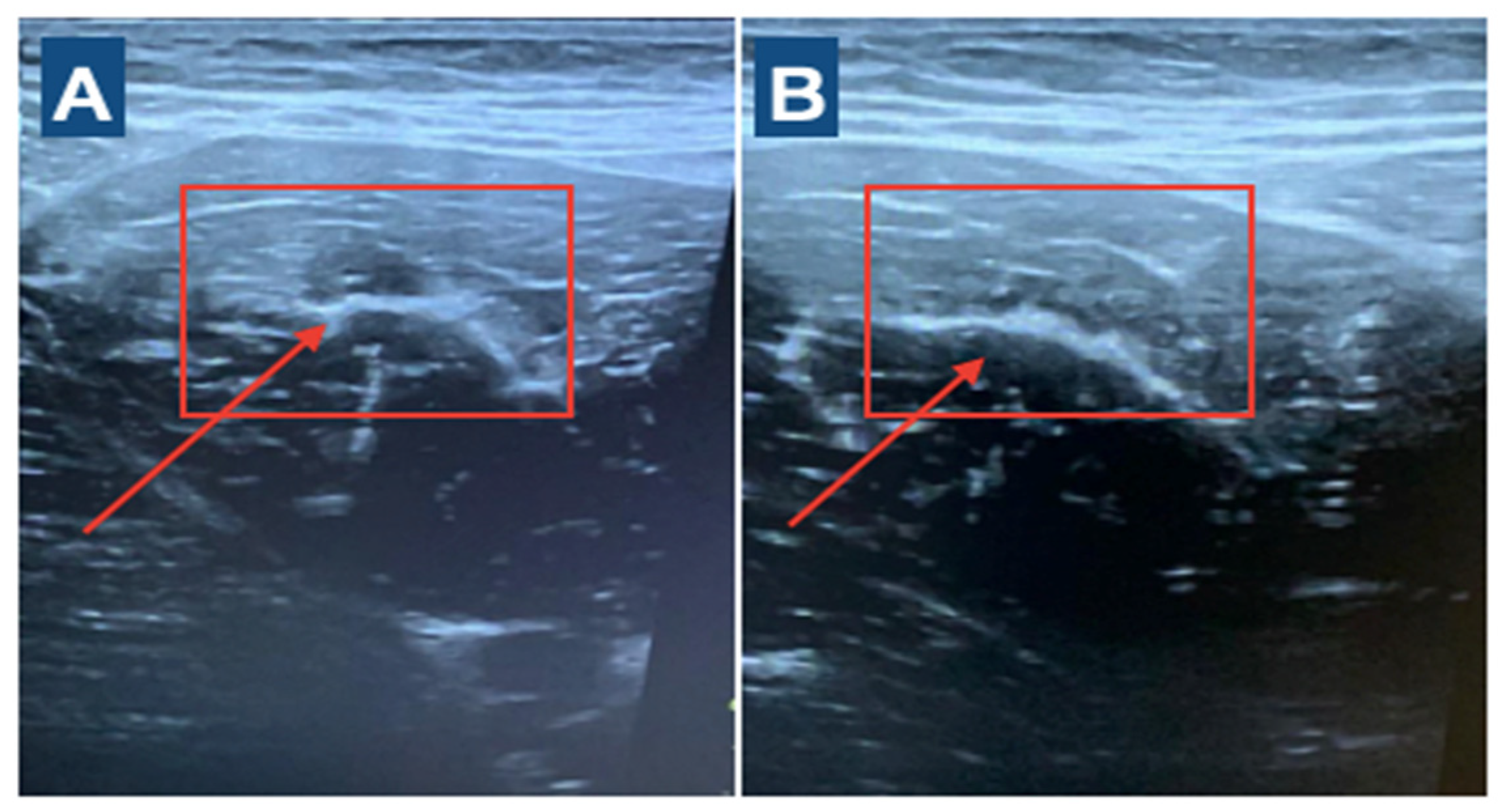 Medicina 60 01998 g001