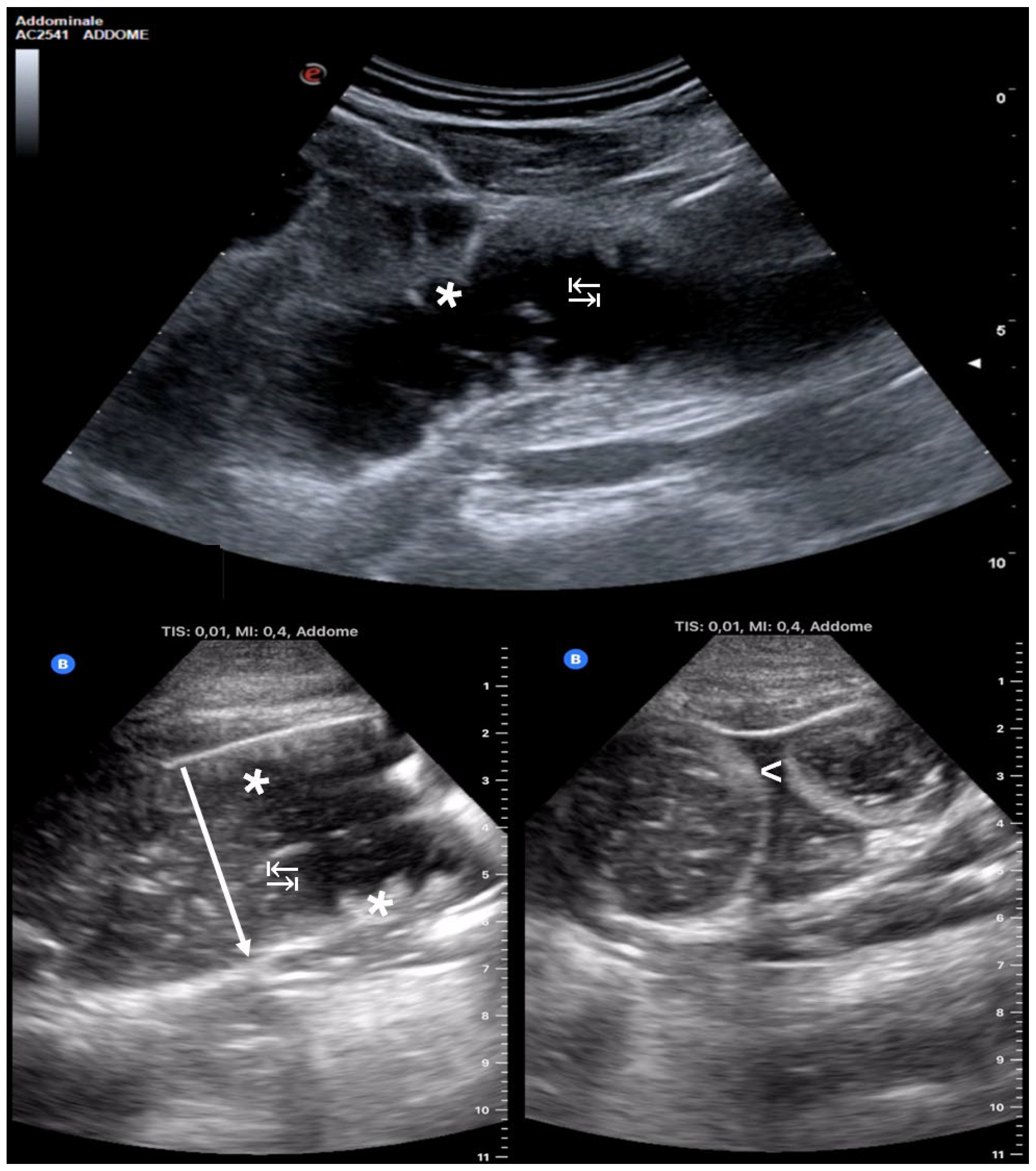 Medicina 60 02006 g001