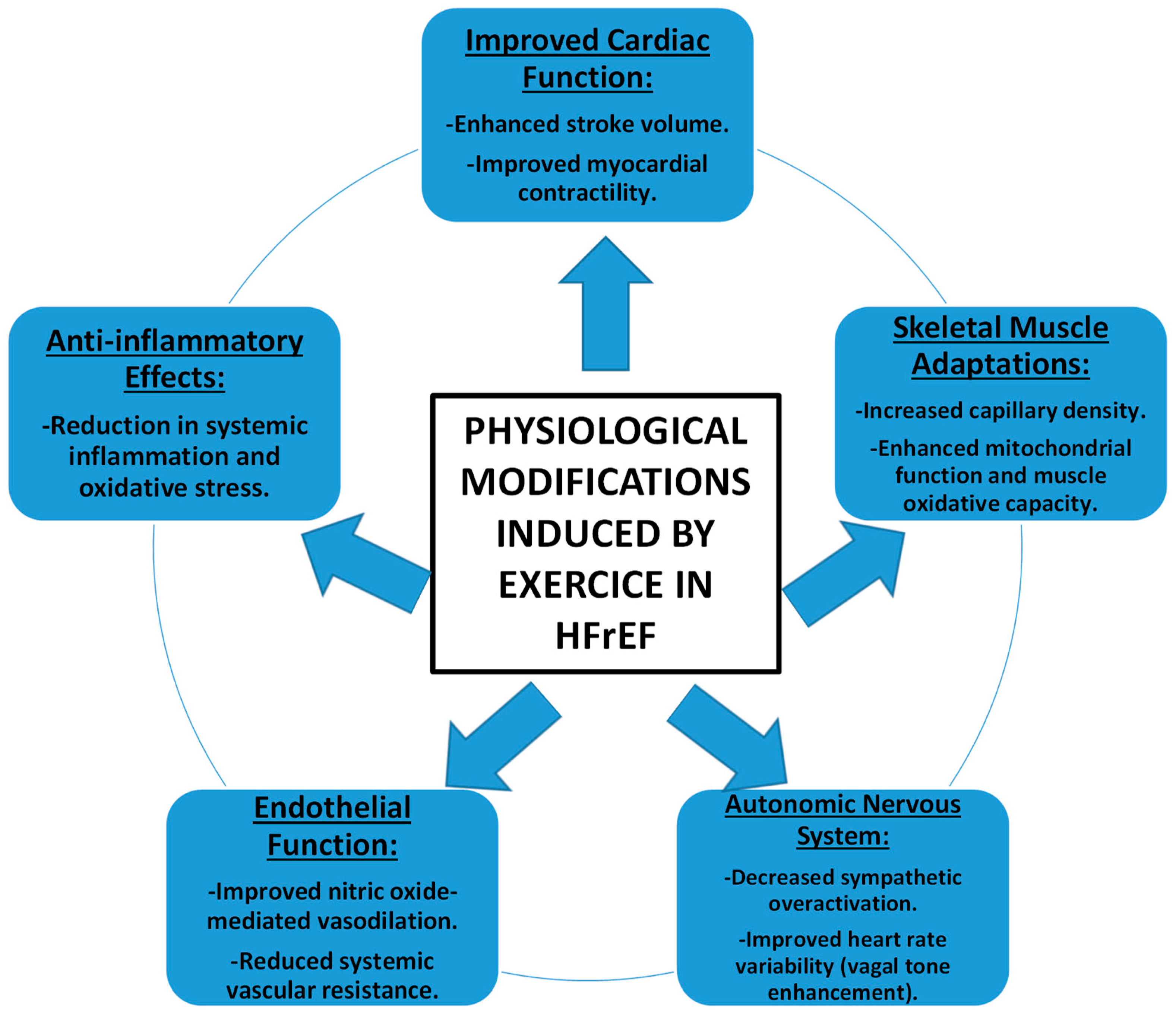 Medicina 60 02017 g002 Medicina 60 02017 g002