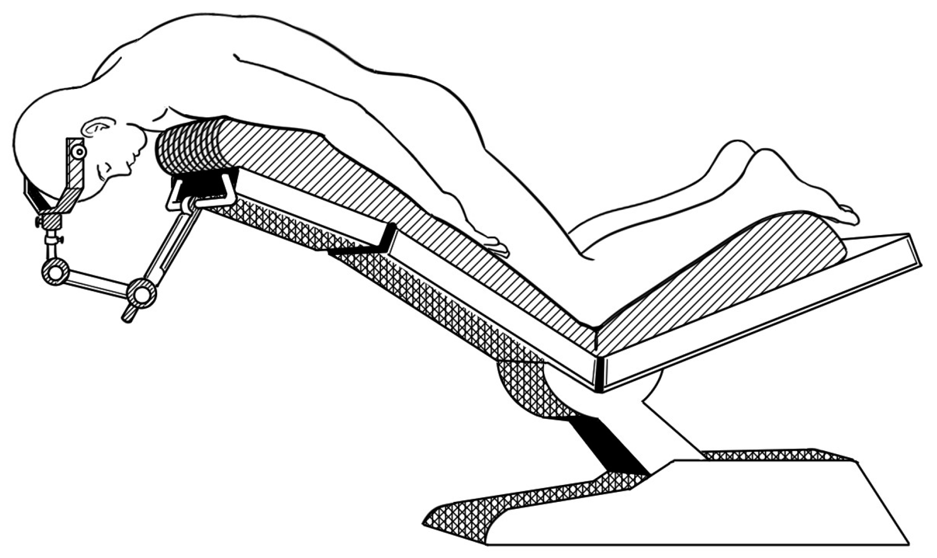Medicina 60 02018 g001