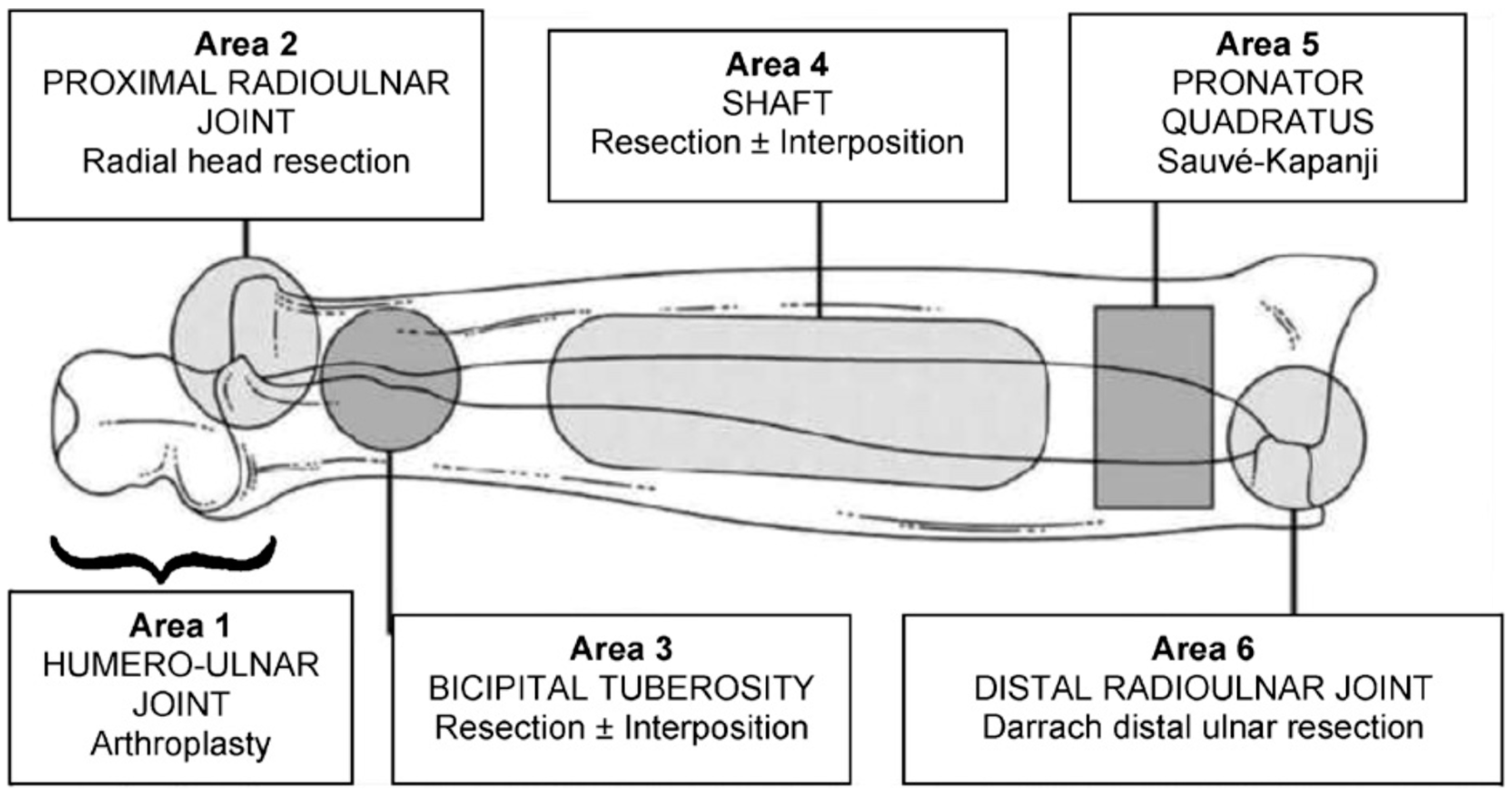 Medicina 60 02026 g003