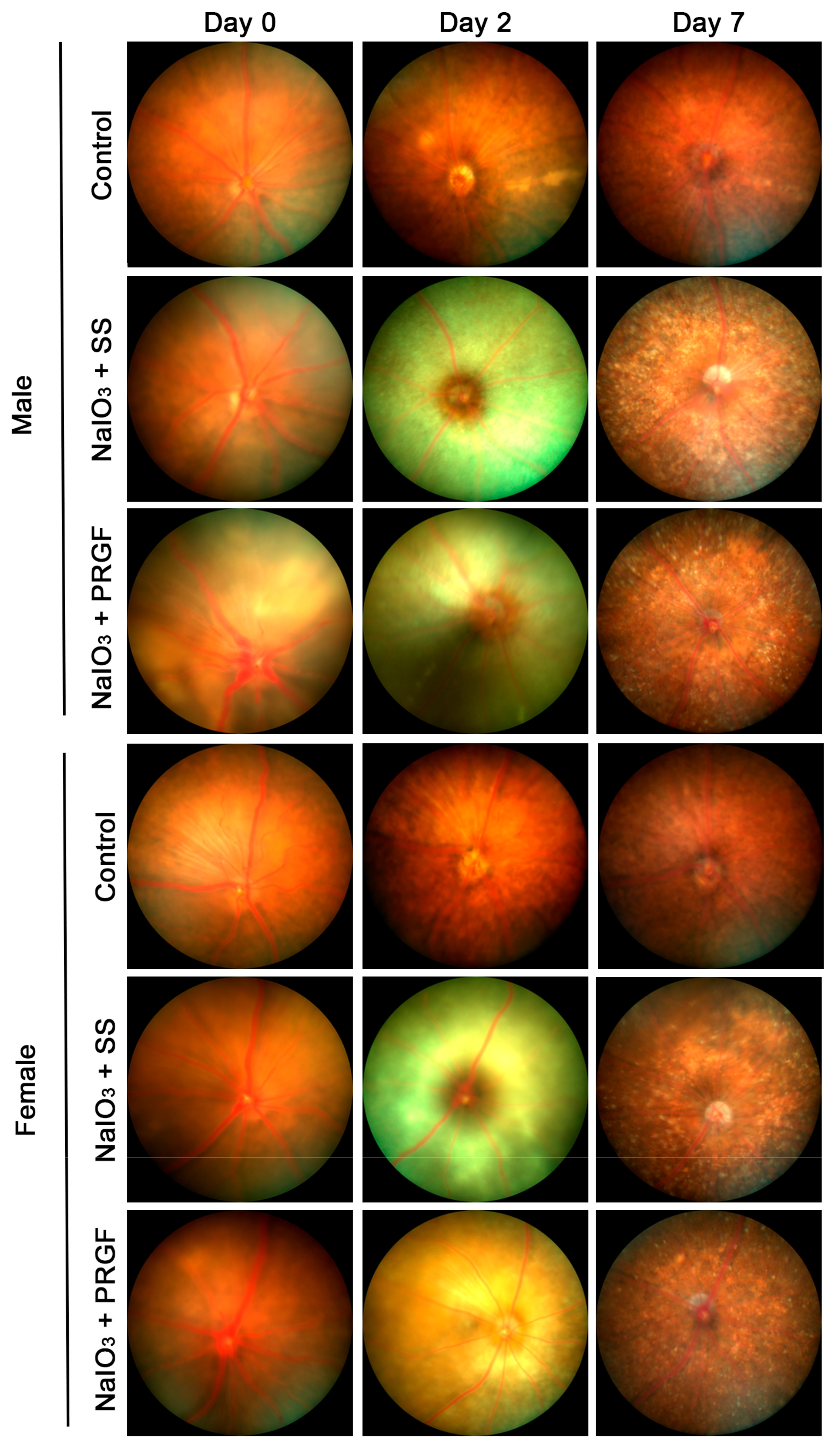 Medicina 60 02036 g001