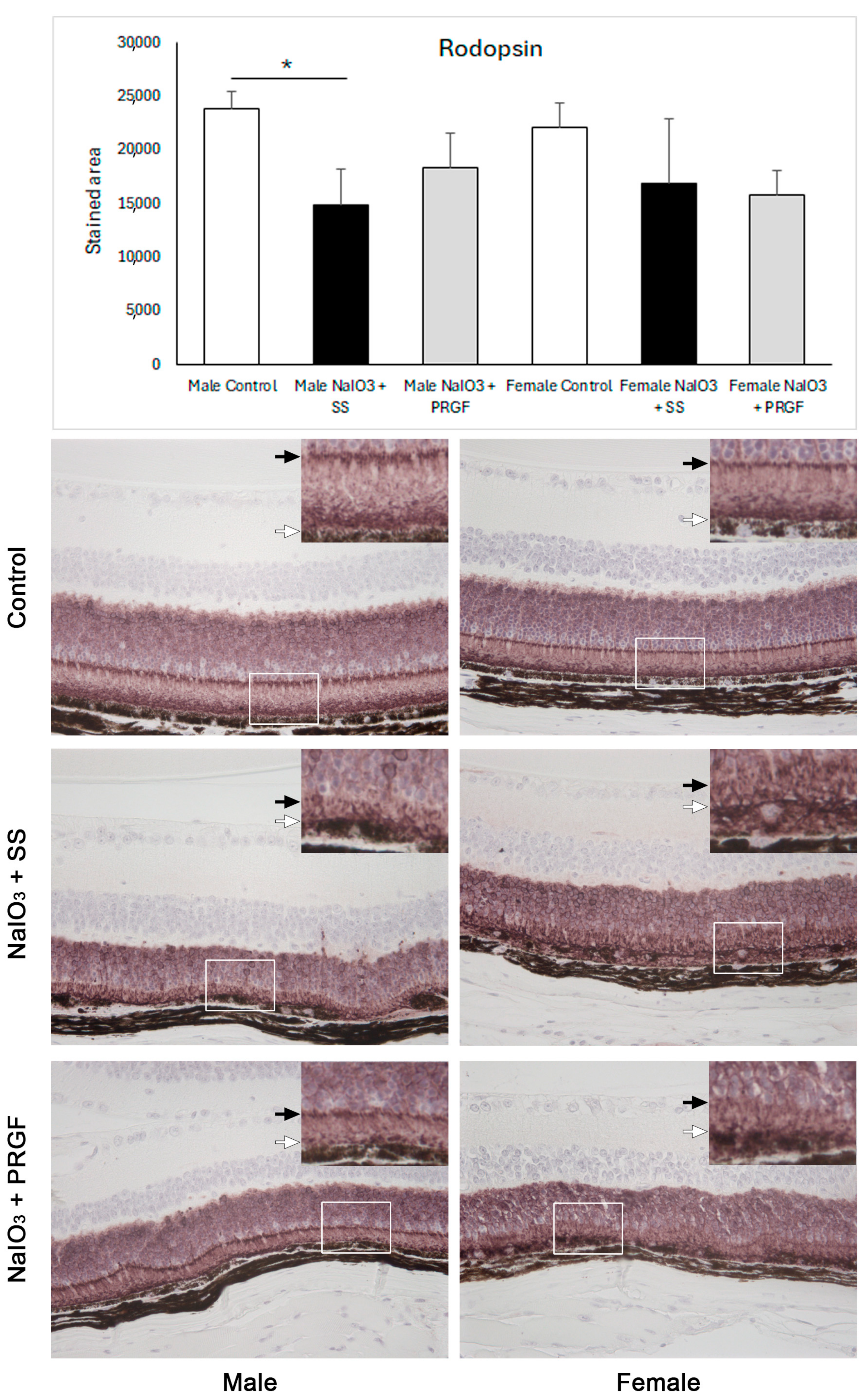 Medicina 60 02036 g005
