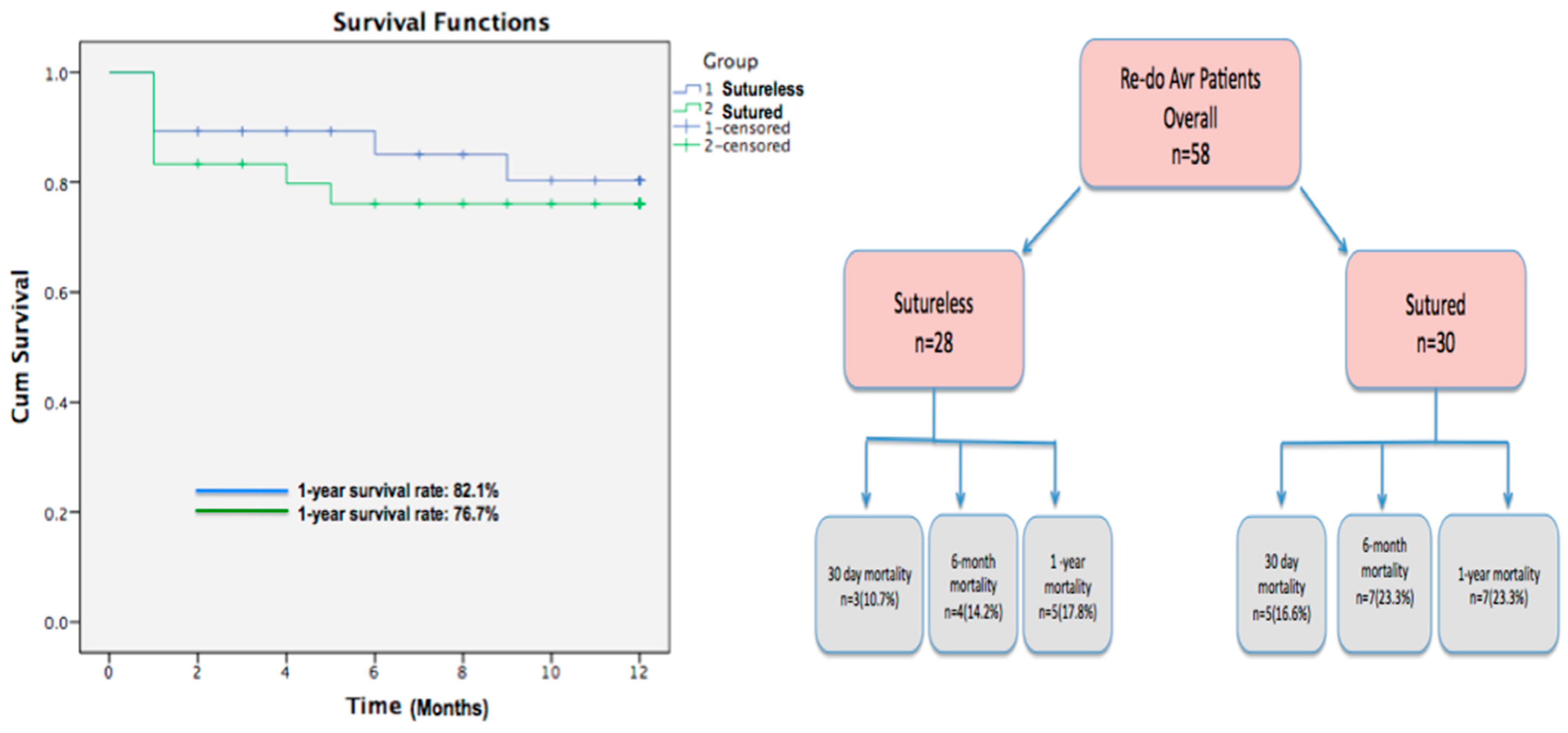 Medicina 60 02037 g002