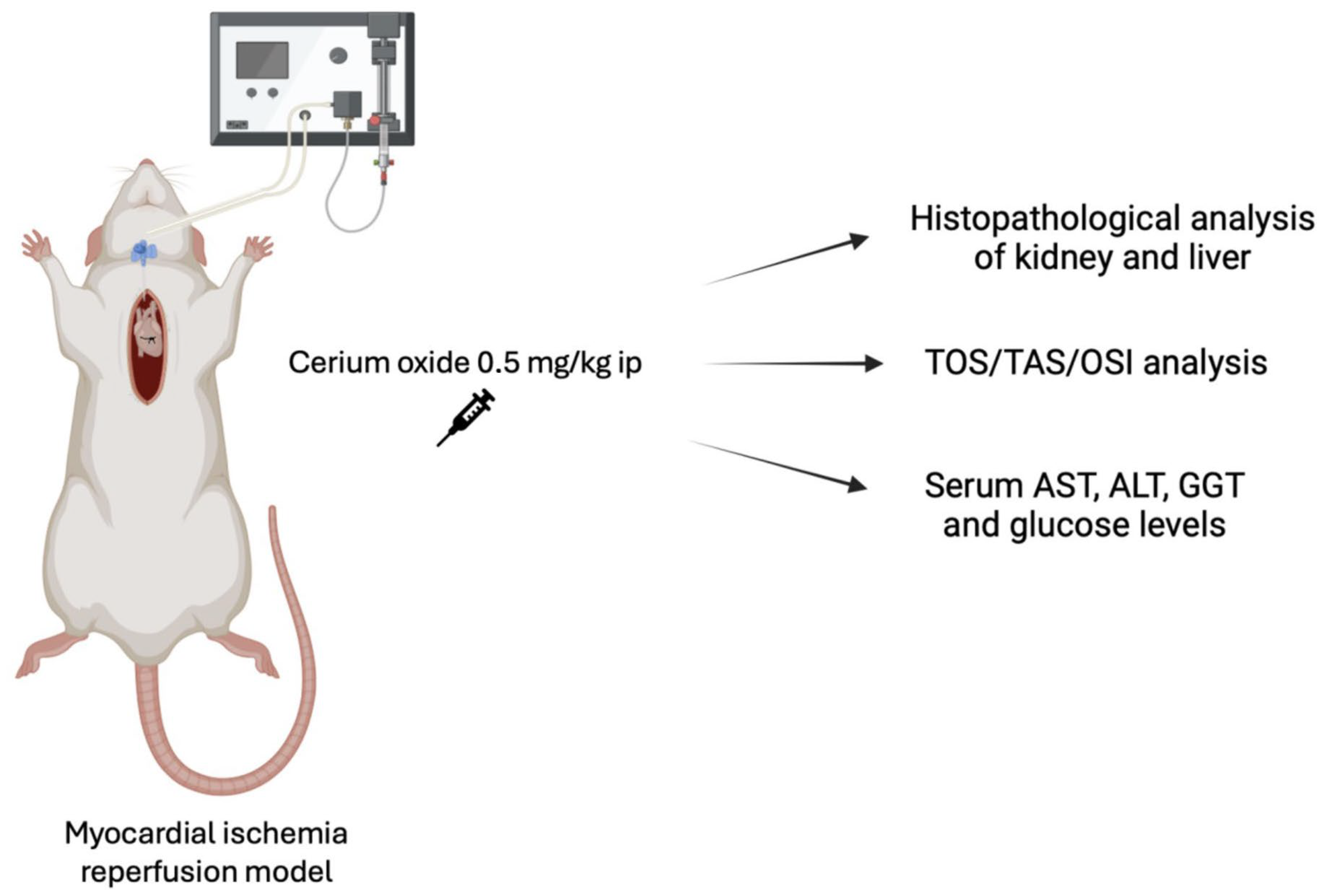 Medicina 60 02044 g001