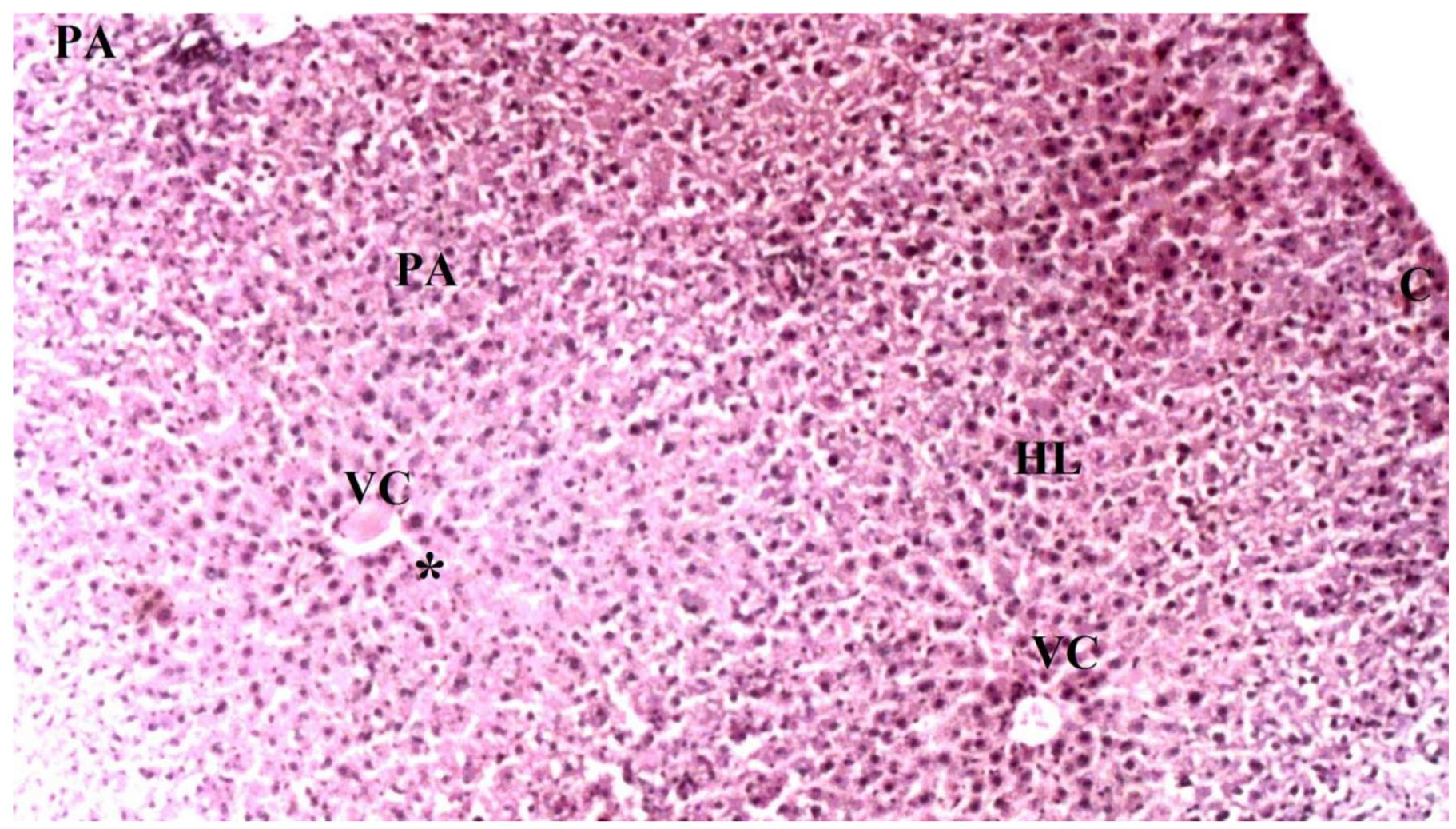 Medicina 60 02044 g003