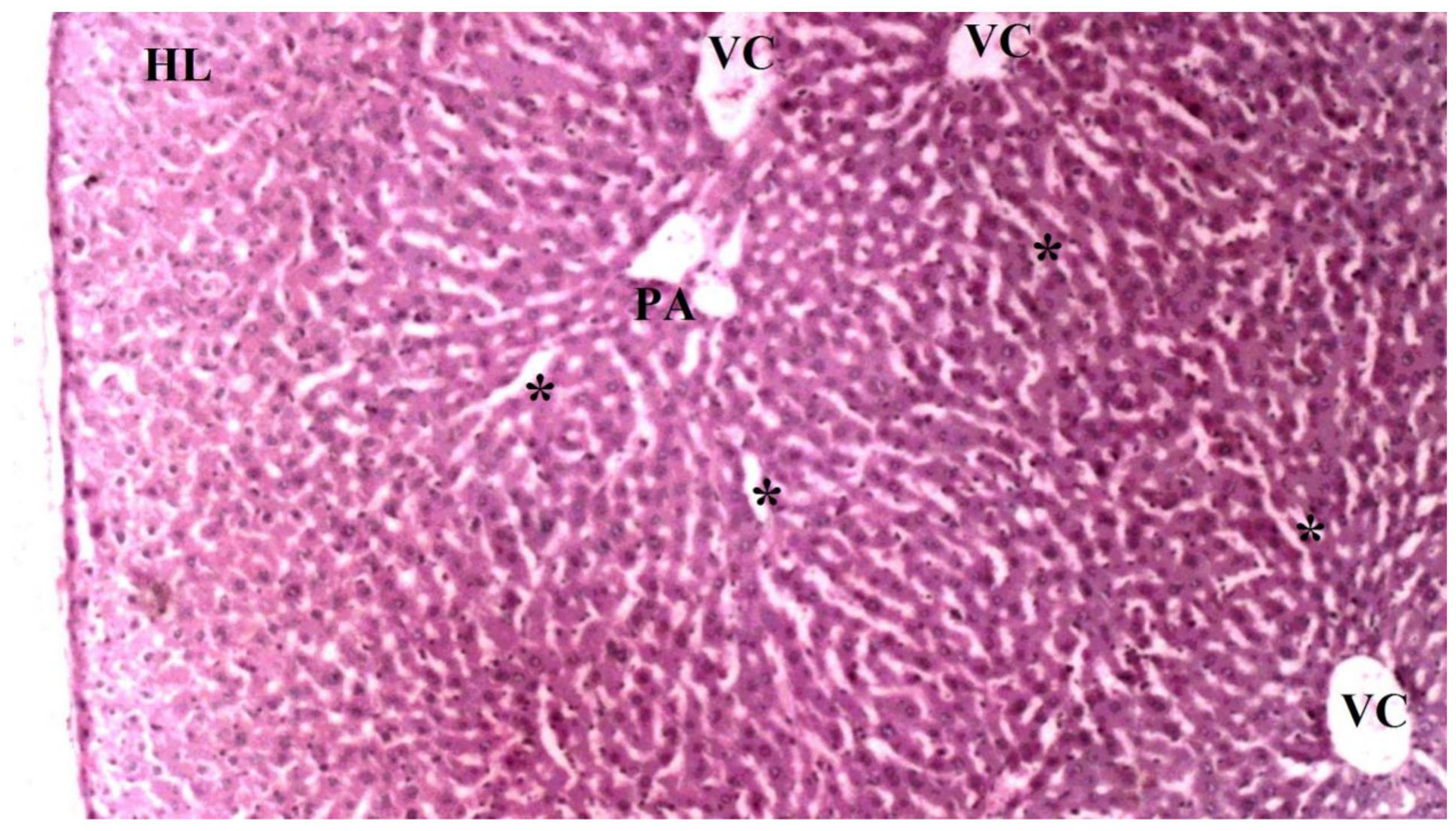 Medicina 60 02044 g004