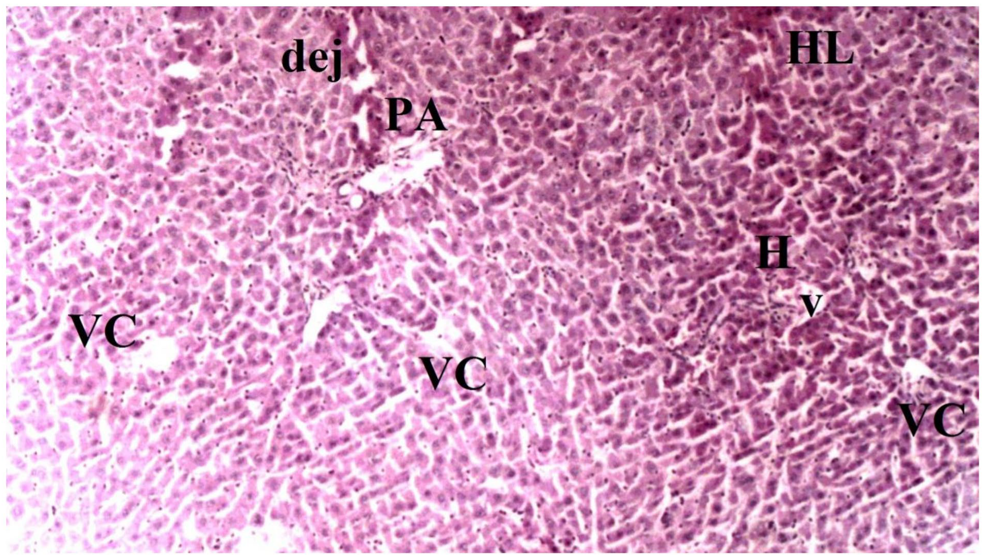 Medicina 60 02044 g006
