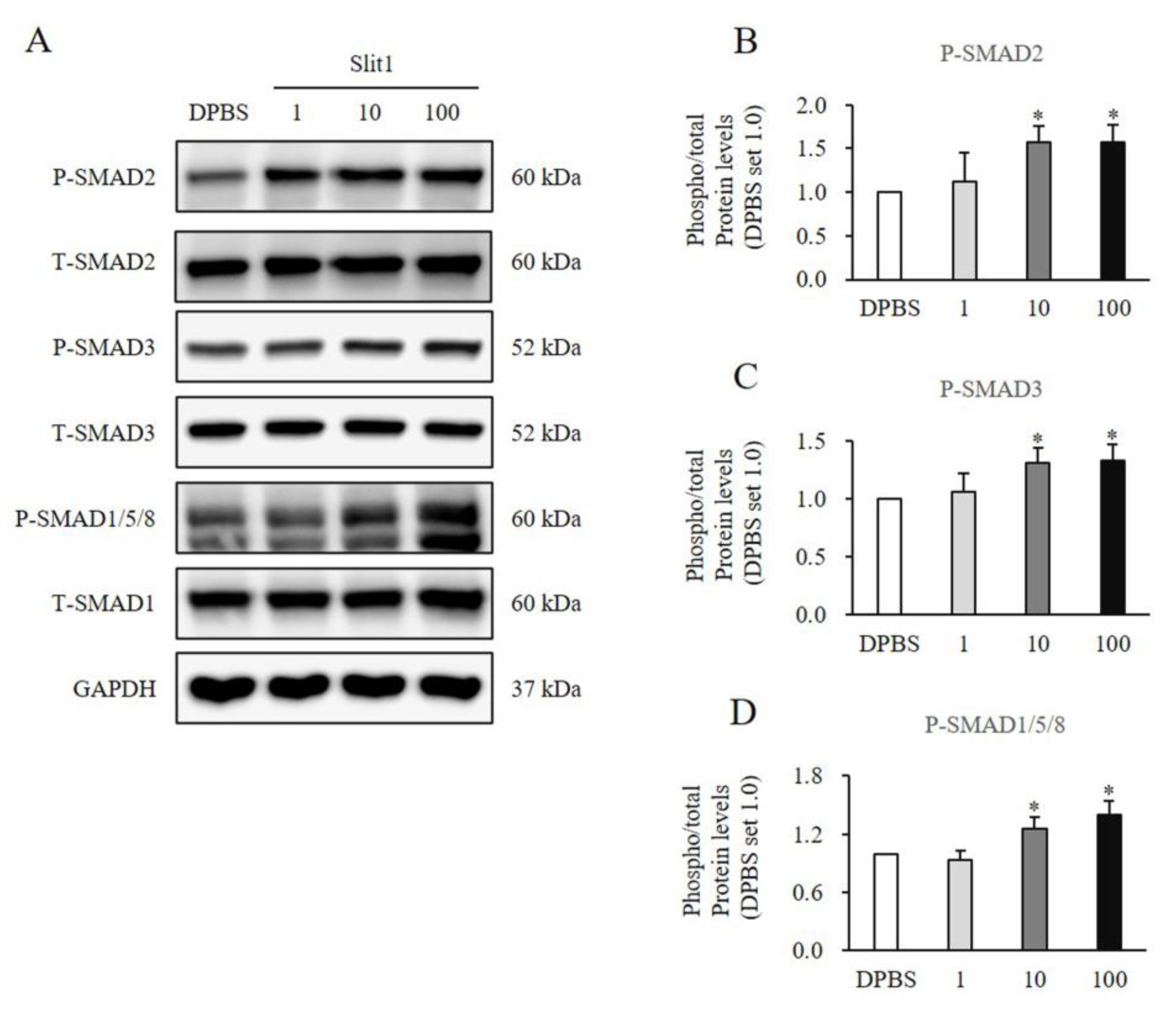 Medicina 60 02051 g005