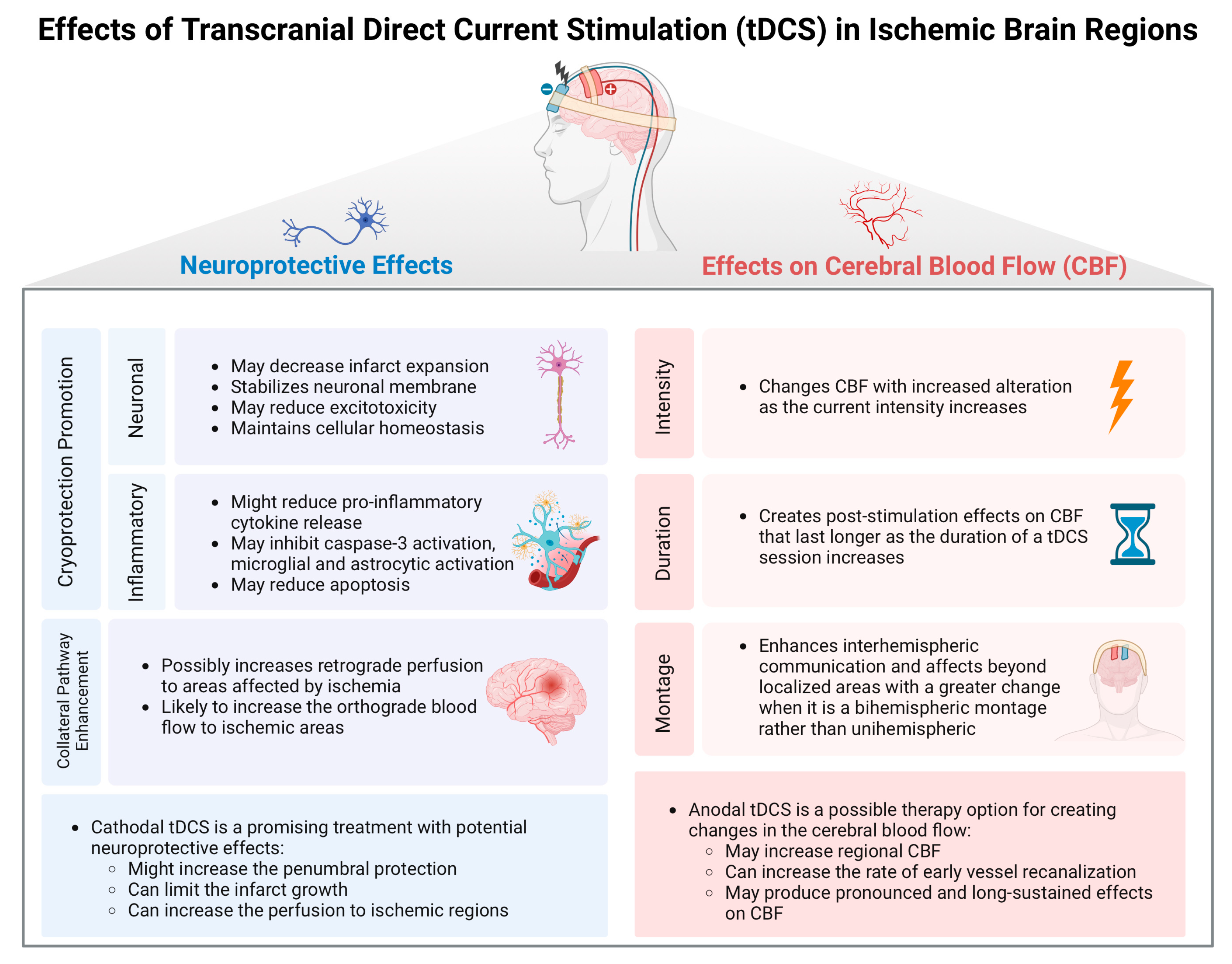 Medicina 60 02061 g002