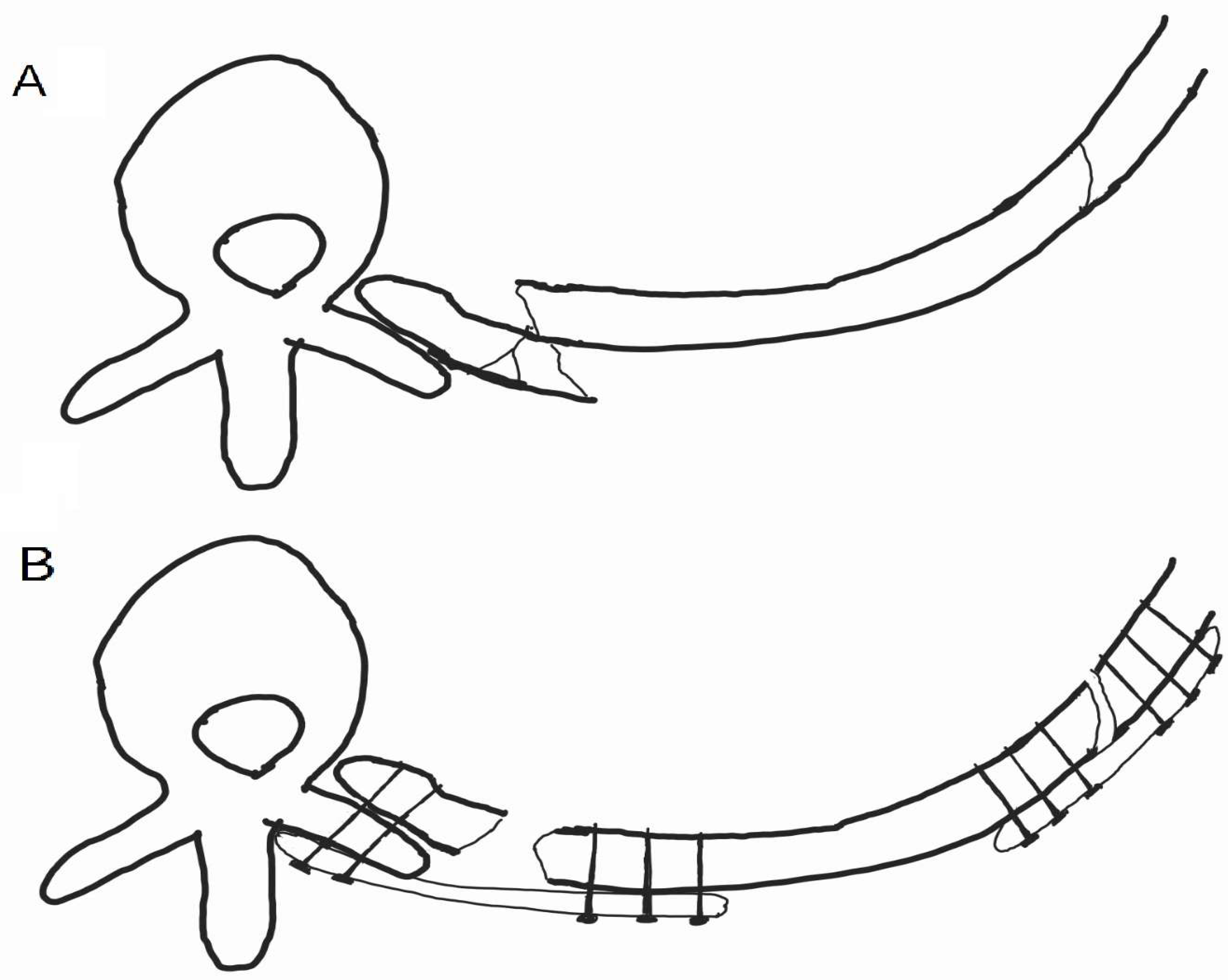 Medicina 60 02063 g003