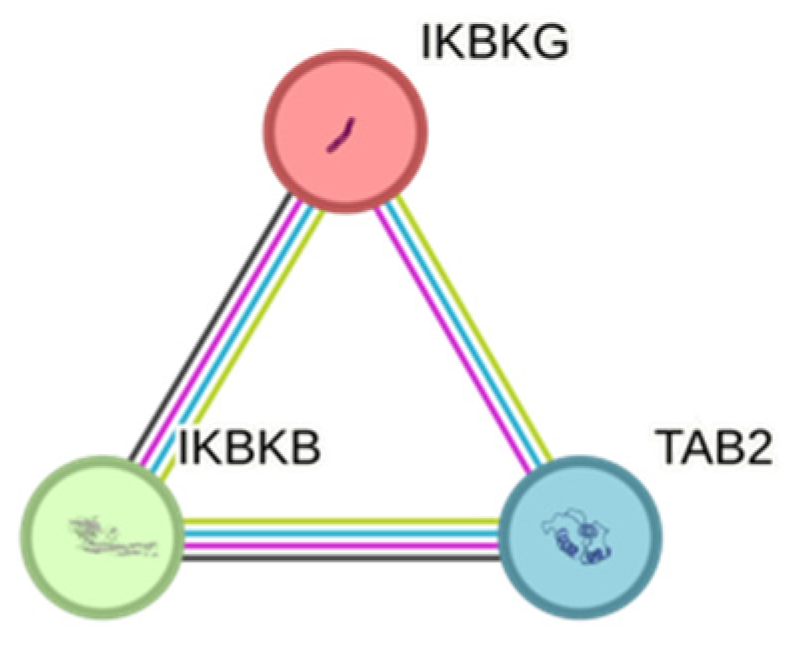 Medicina 60 02072 g002