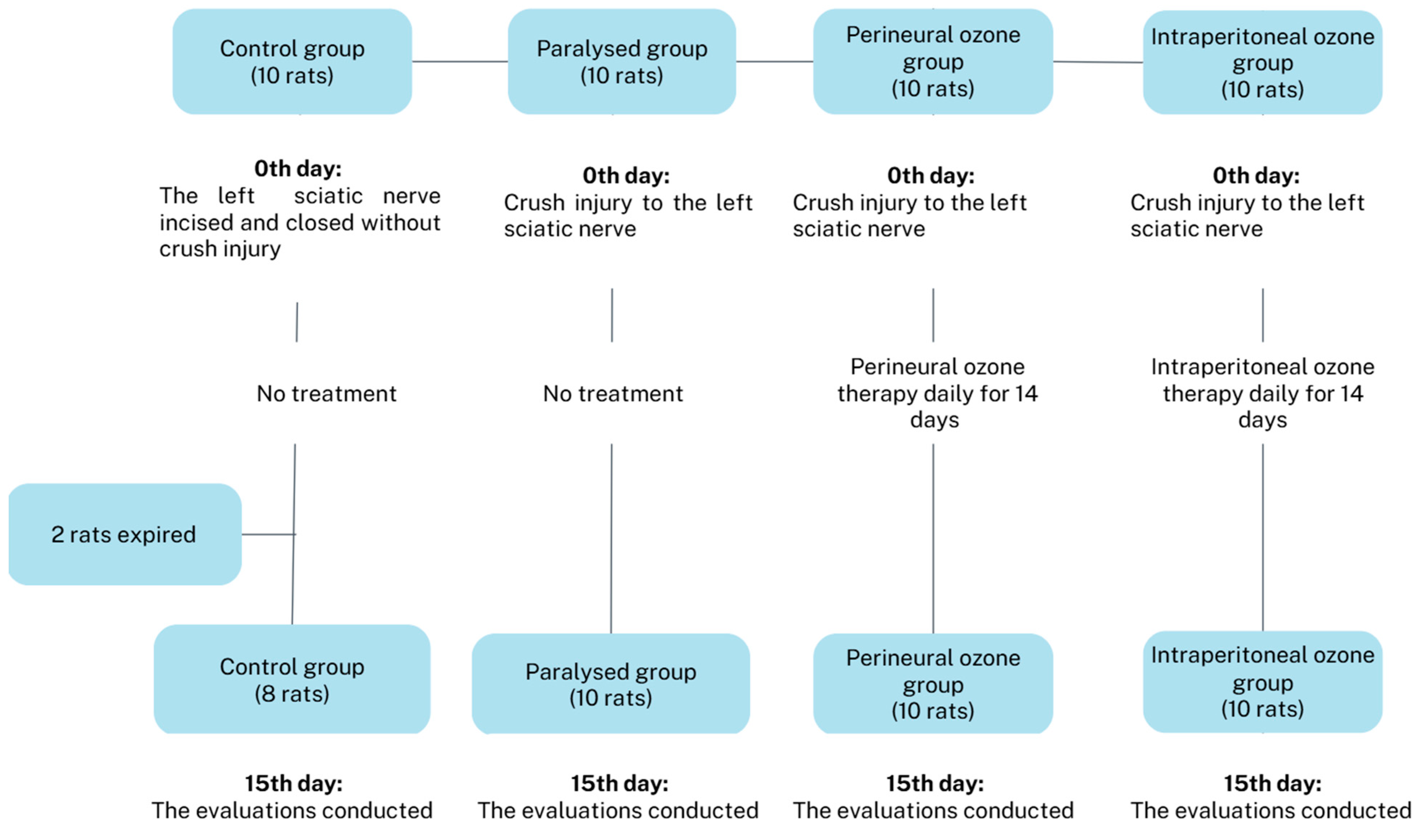 Medicina 60 02097 g001 Medicina 60 02097 g001
