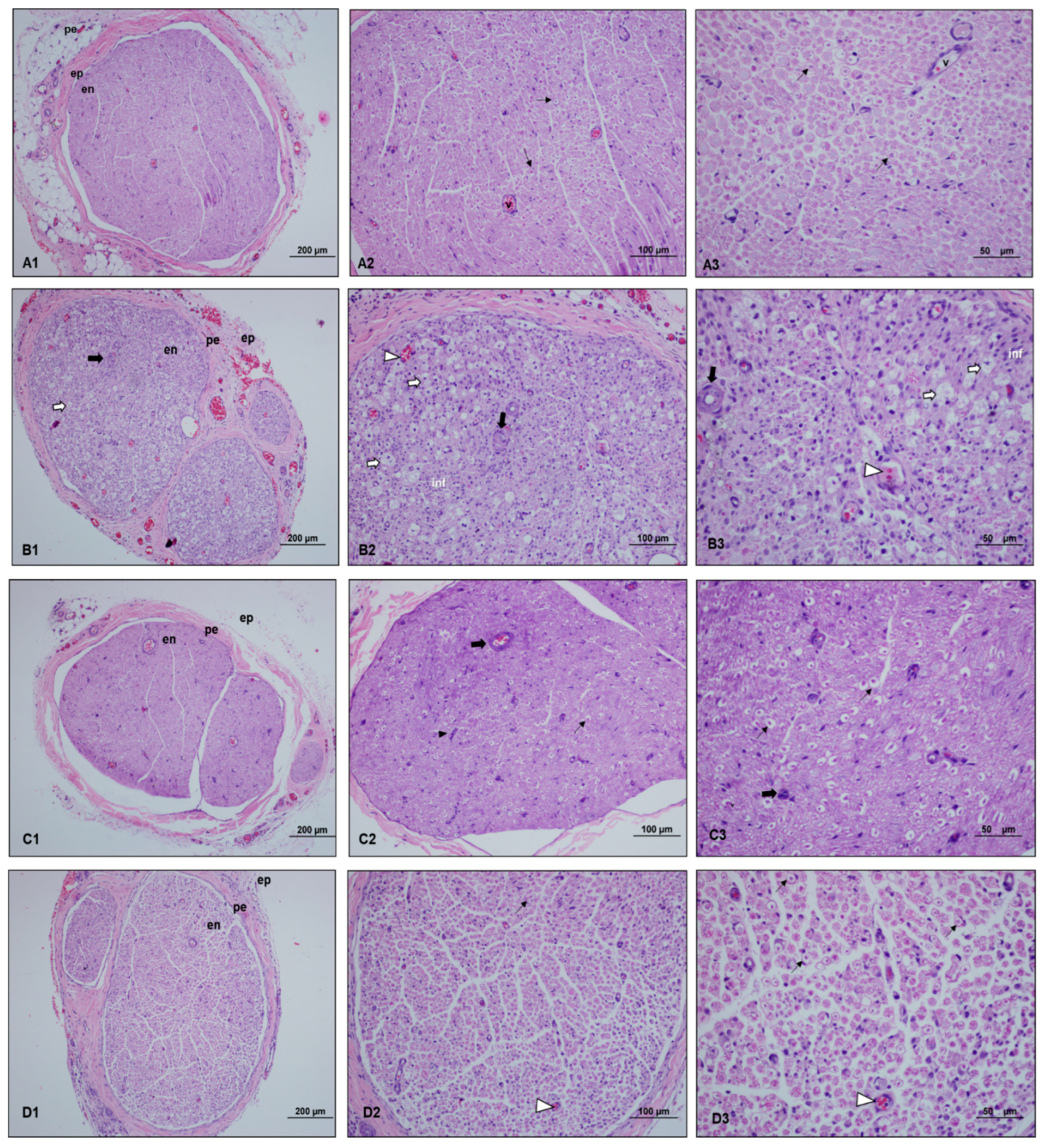 Medicina 60 02097 g003 Medicina 60 02097 g003