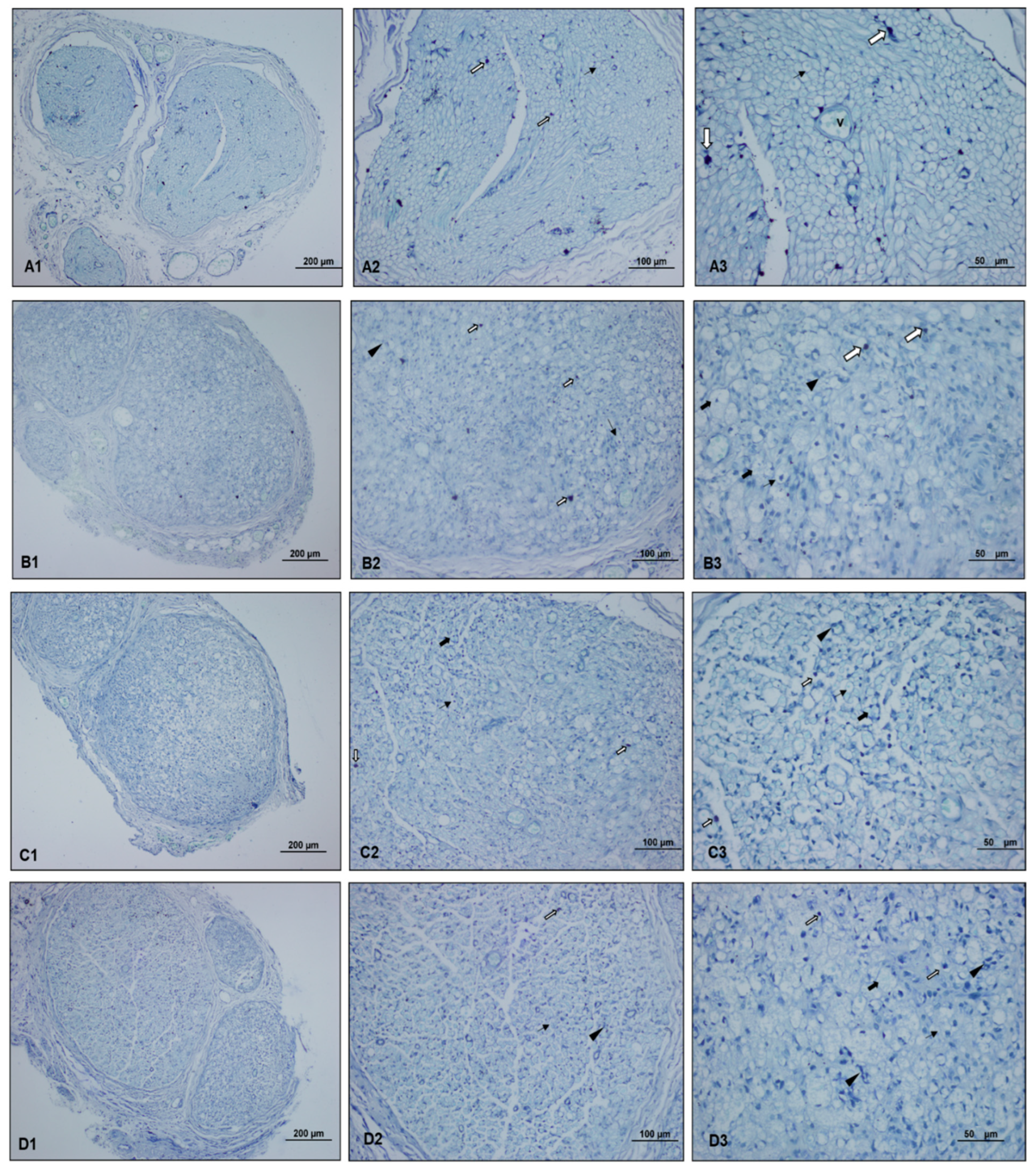 Medicina 60 02097 g004 Medicina 60 02097 g004