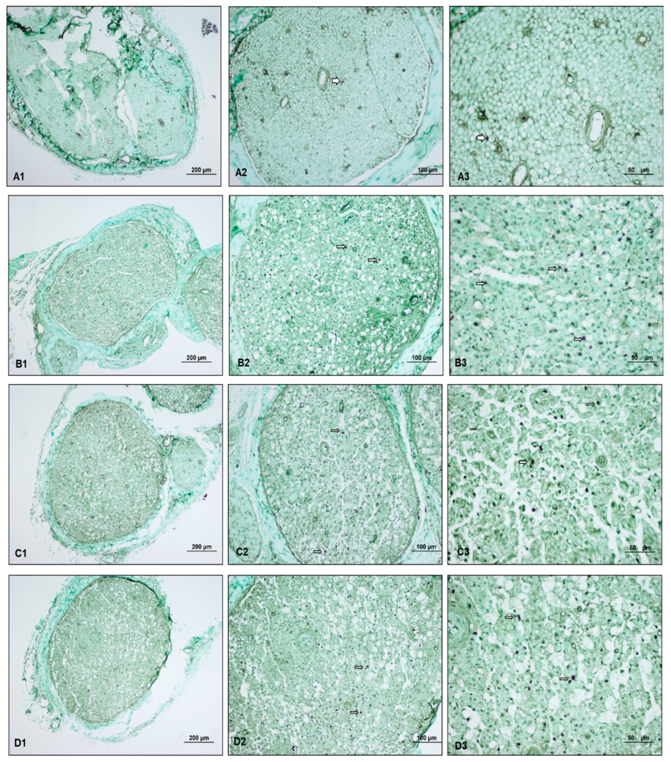 Medicina 60 02097 g005 Medicina 60 02097 g005