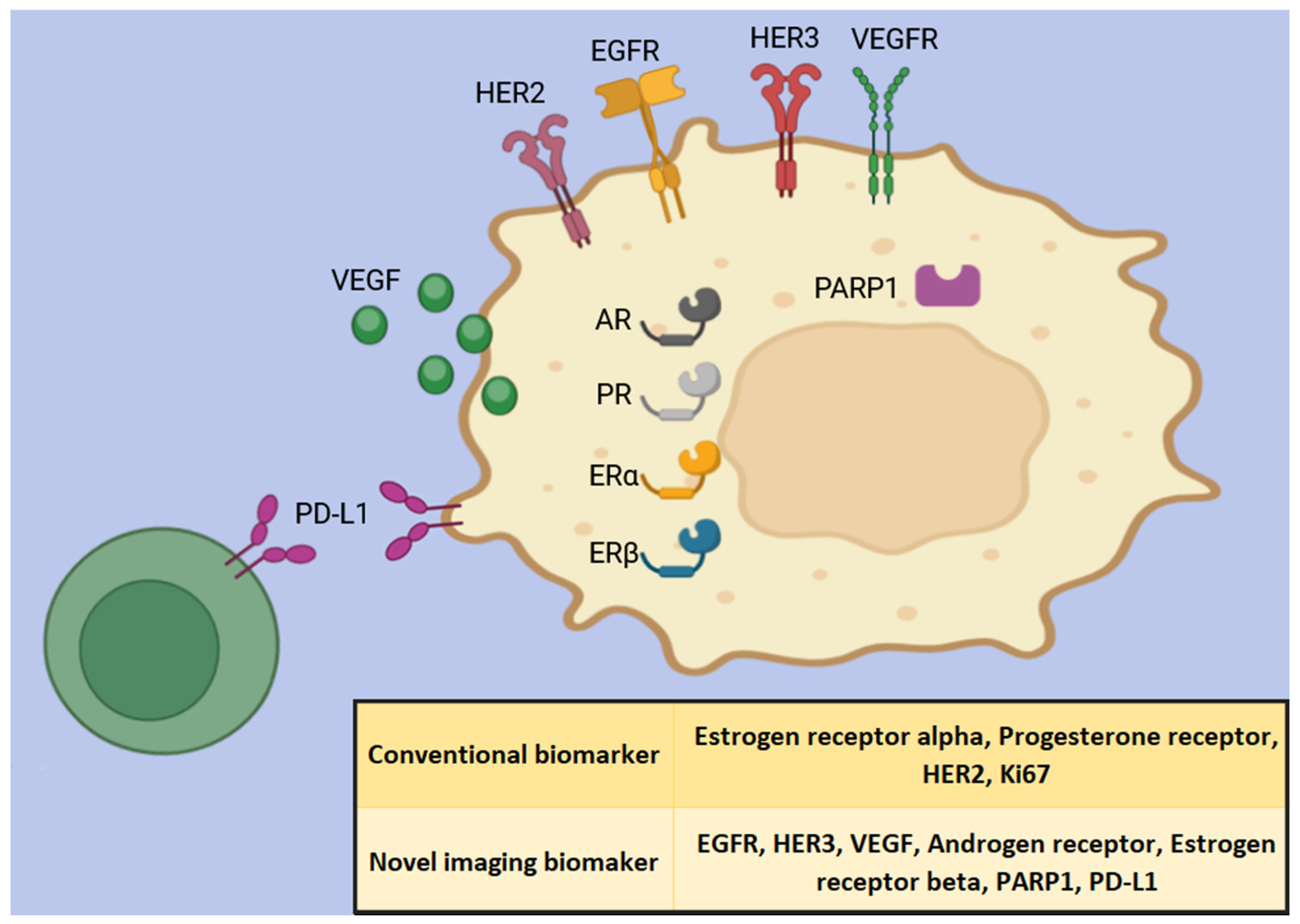Medicina 60 02099 g001