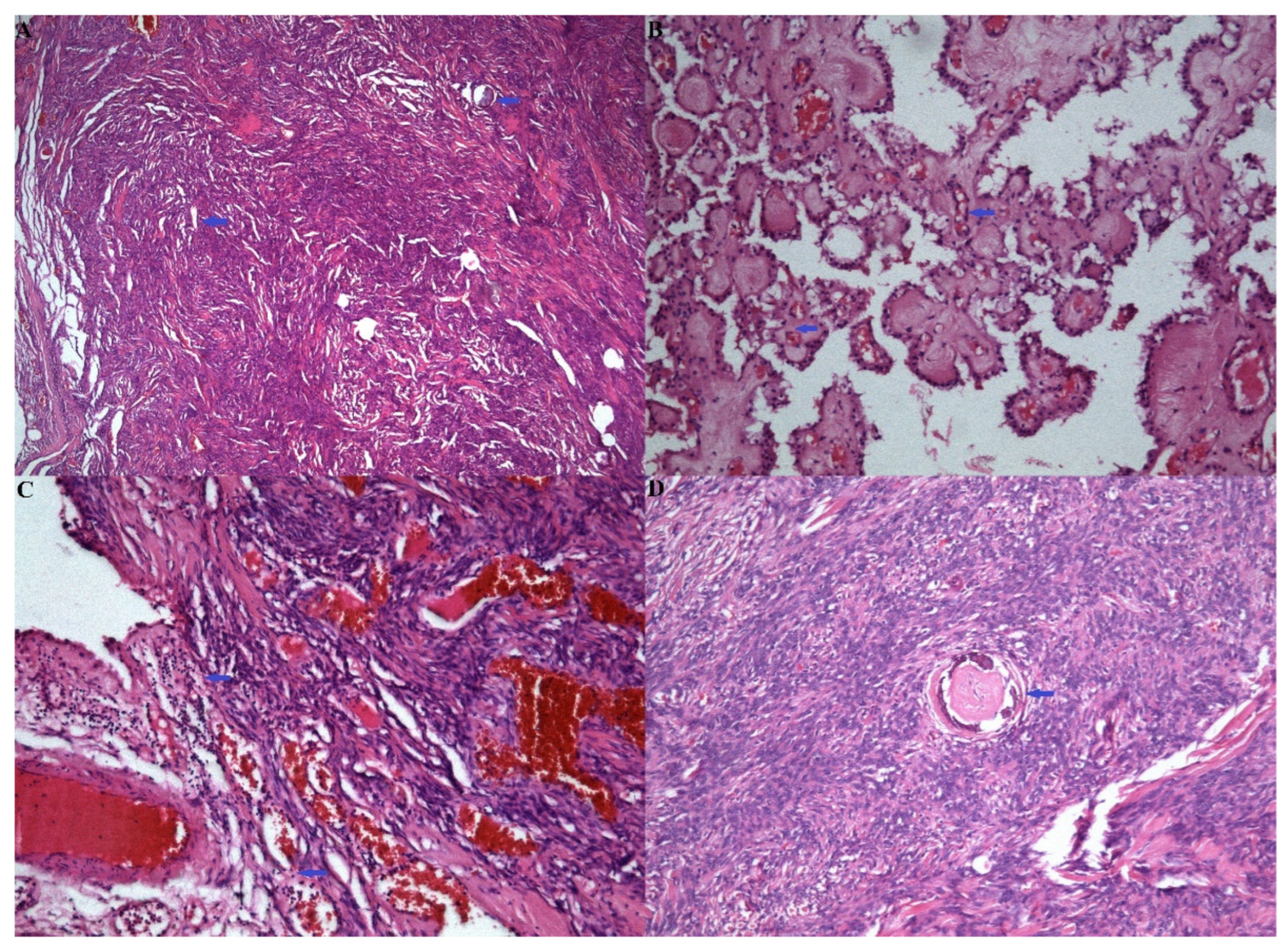 Medicina 60 02100 g002