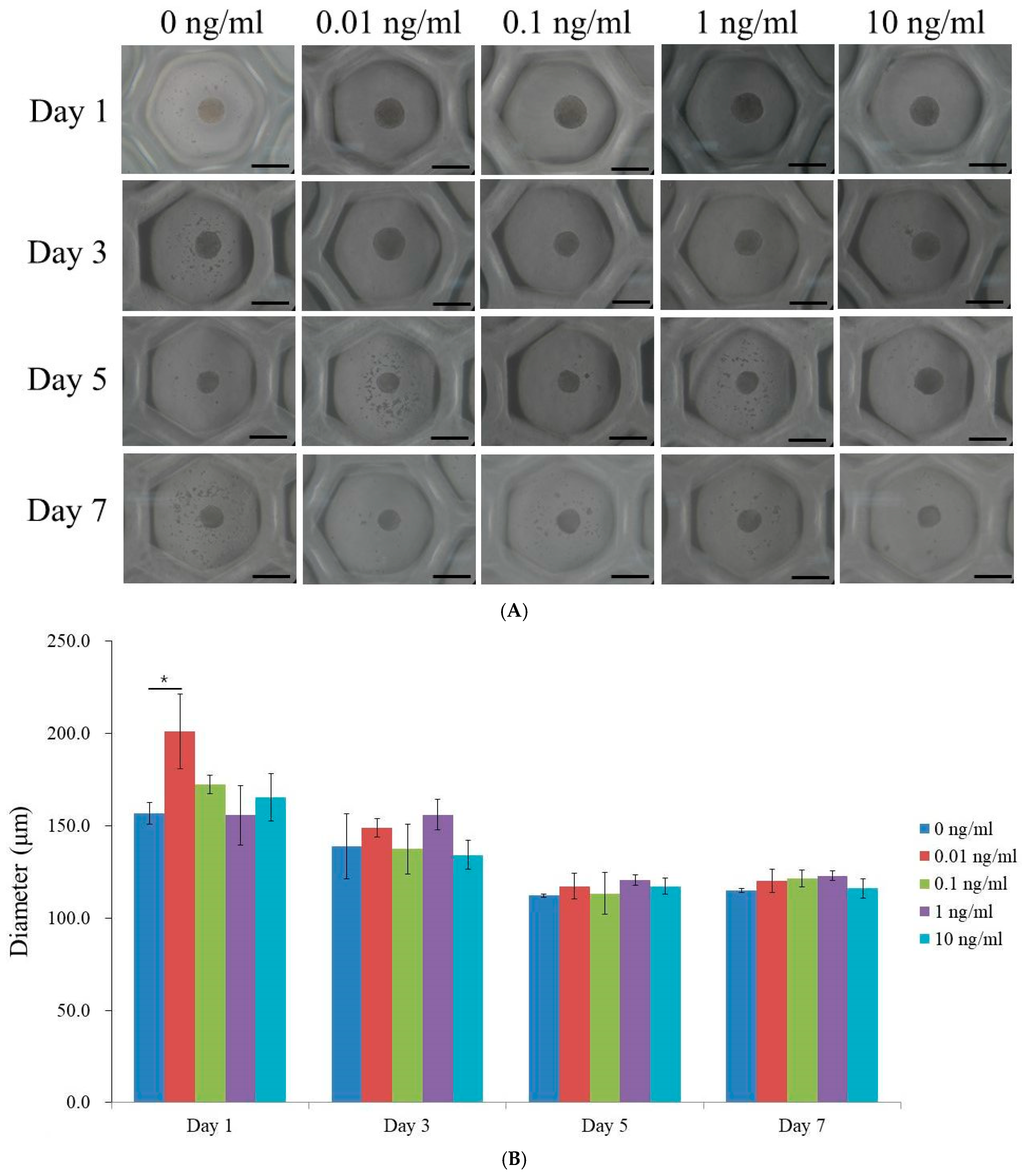 Medicina 60 02108 g001