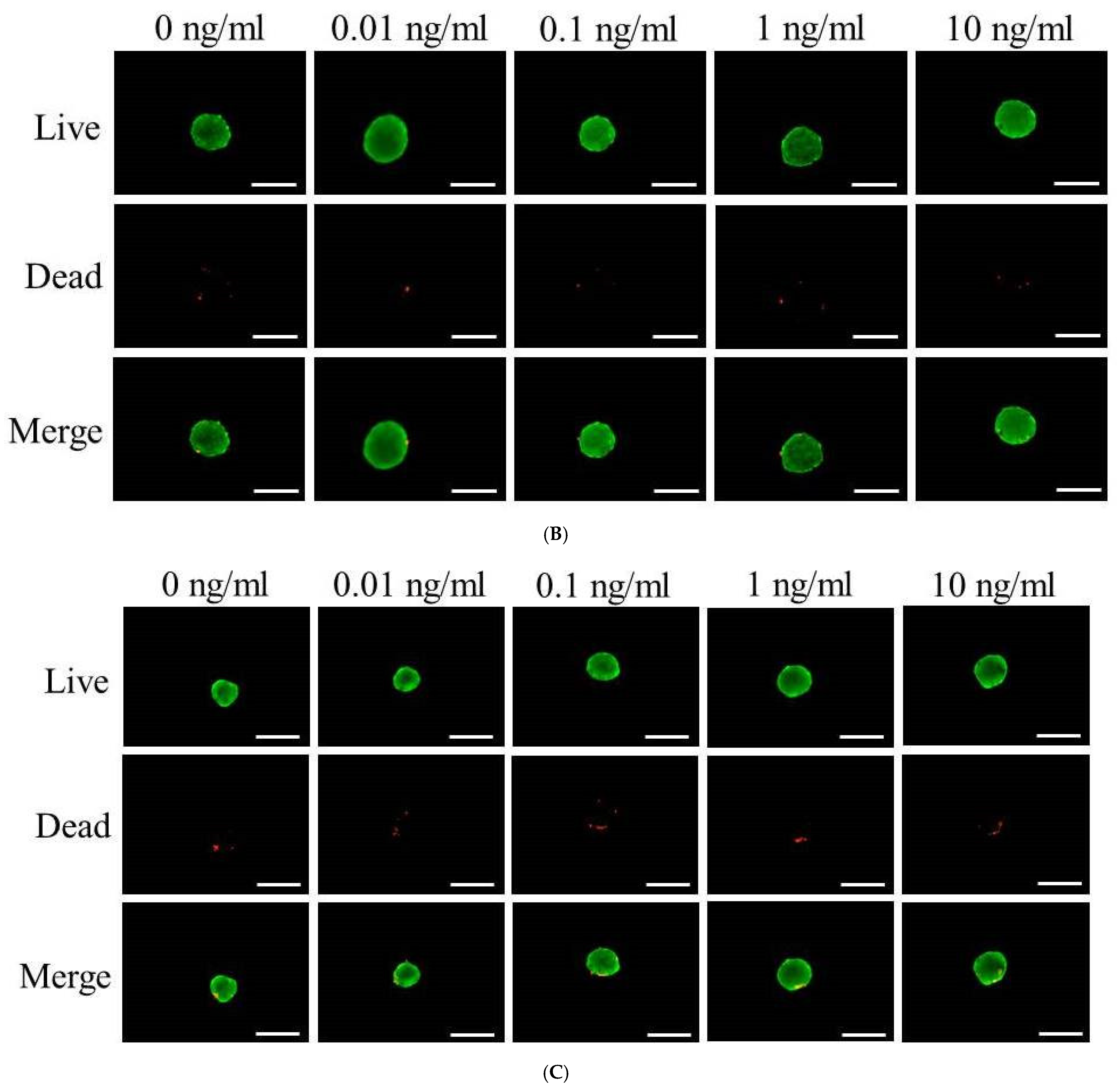 Medicina 60 02108 g002b