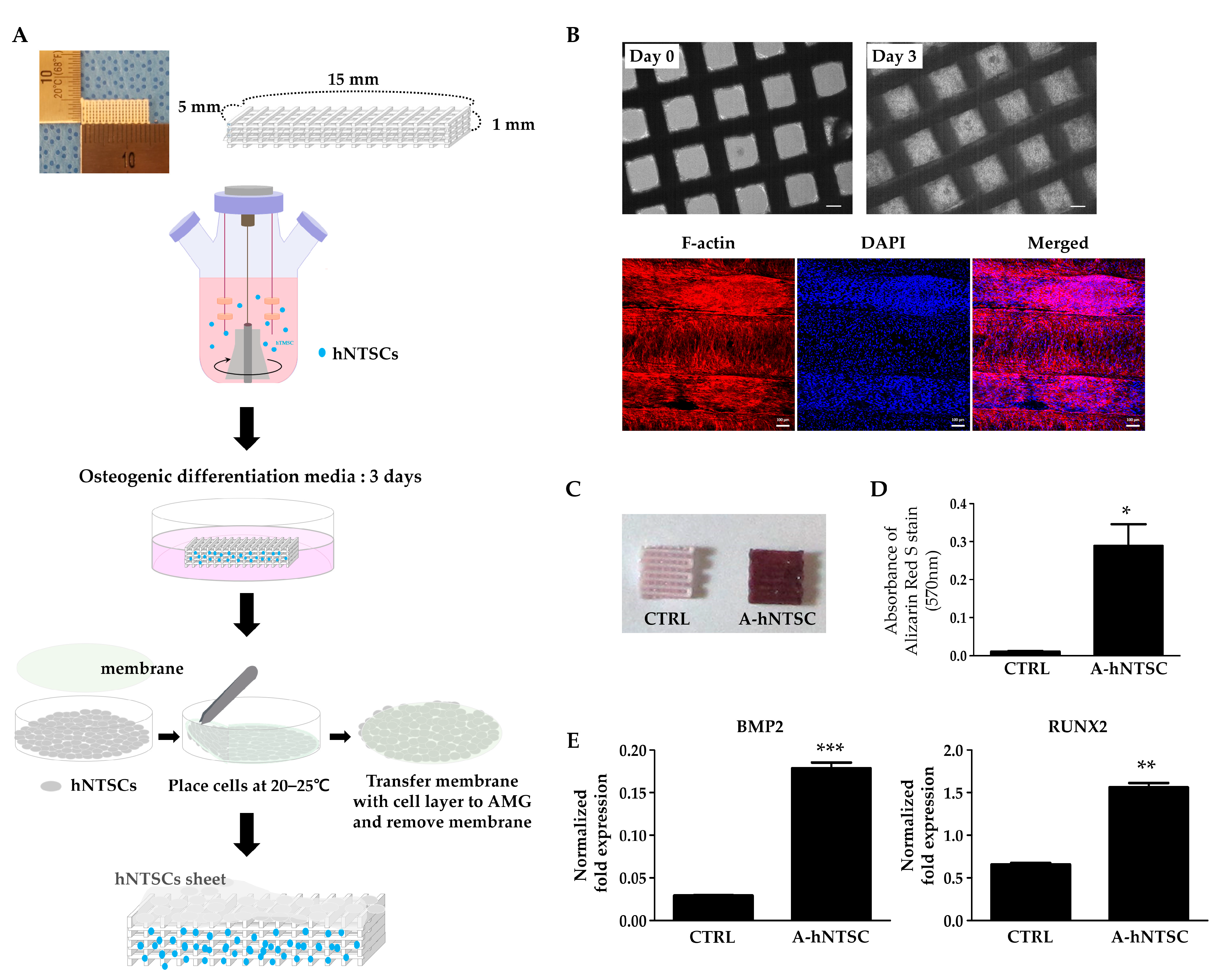 Medicina 60 02111 g002