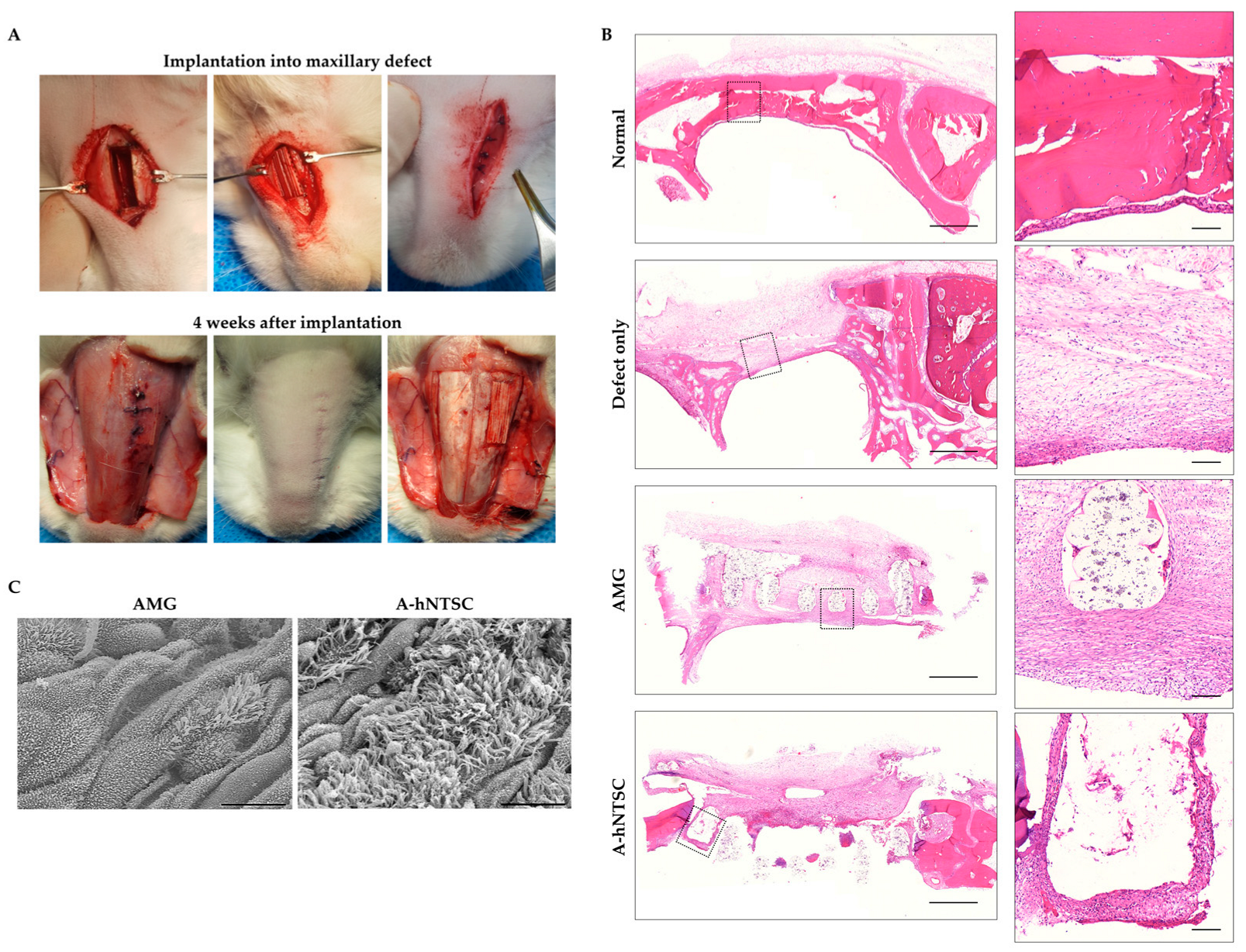 Medicina 60 02111 g003