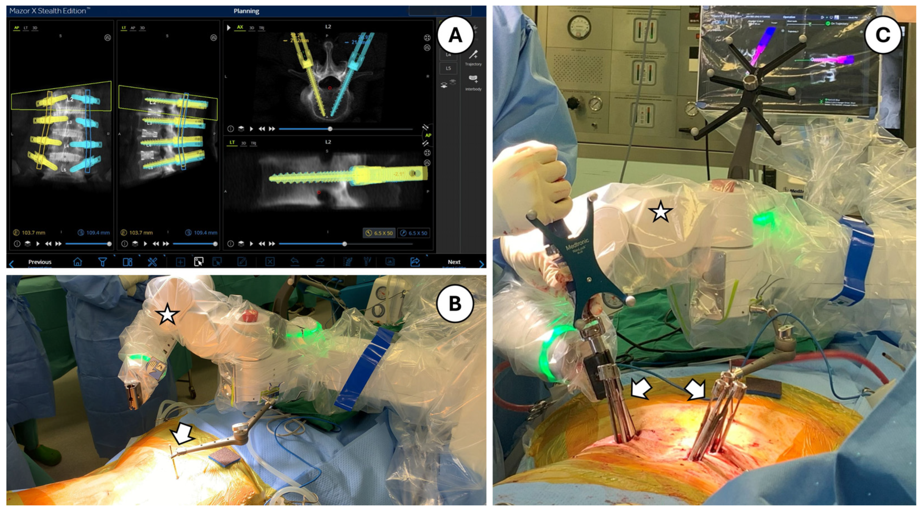 Medicina 60 02112 g001