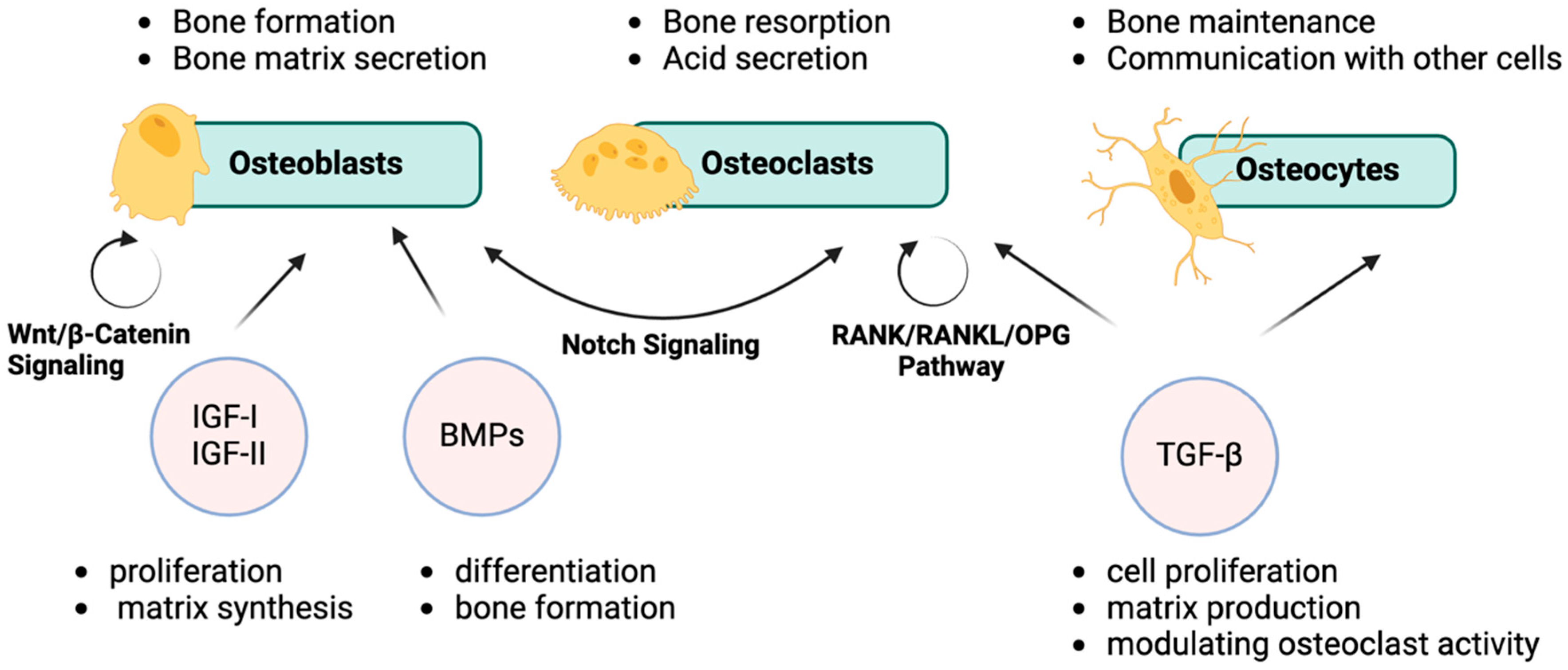 Medicina 61 00020 g001