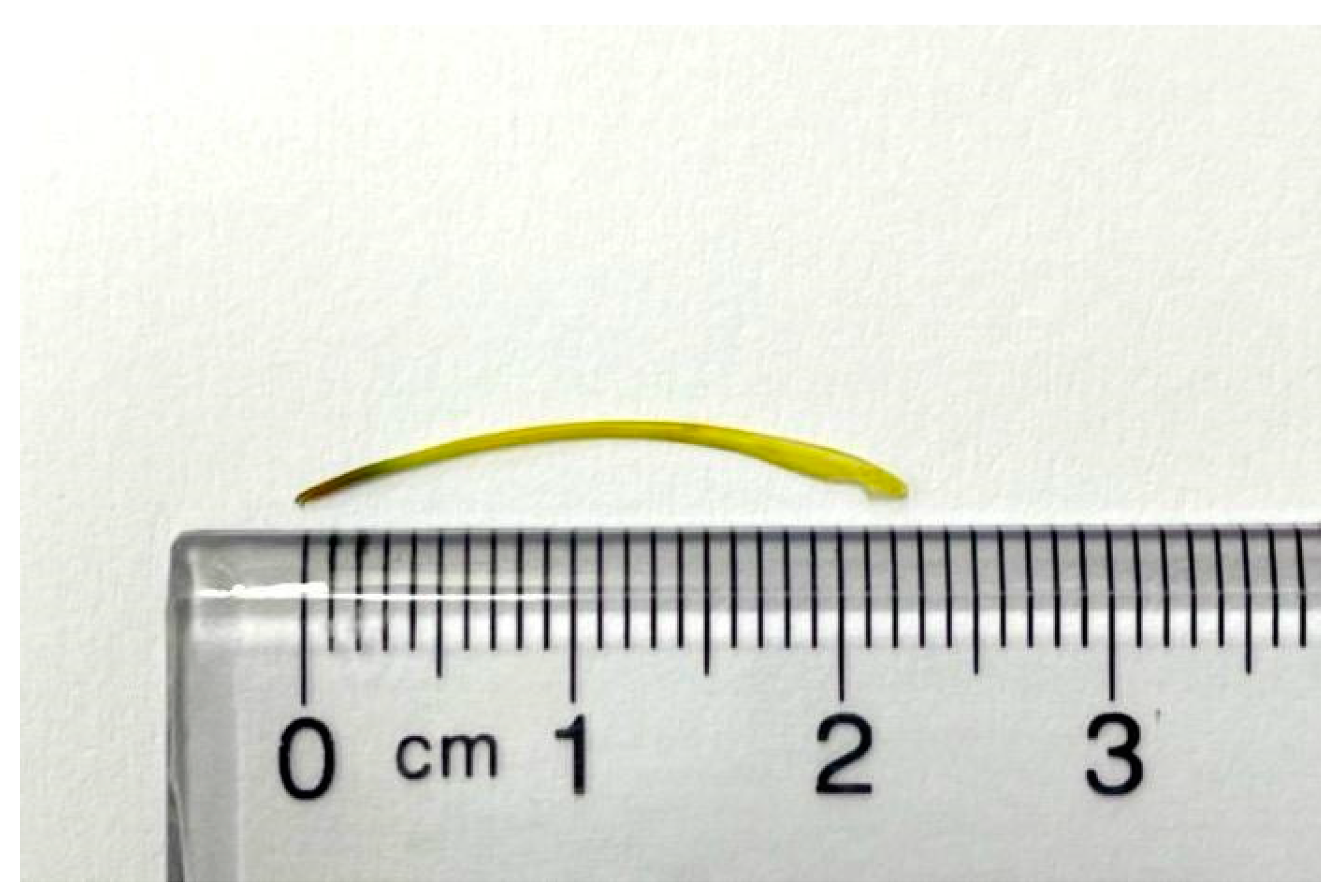 Medicina 61 00030 g004 Medicina 61 00030 g004