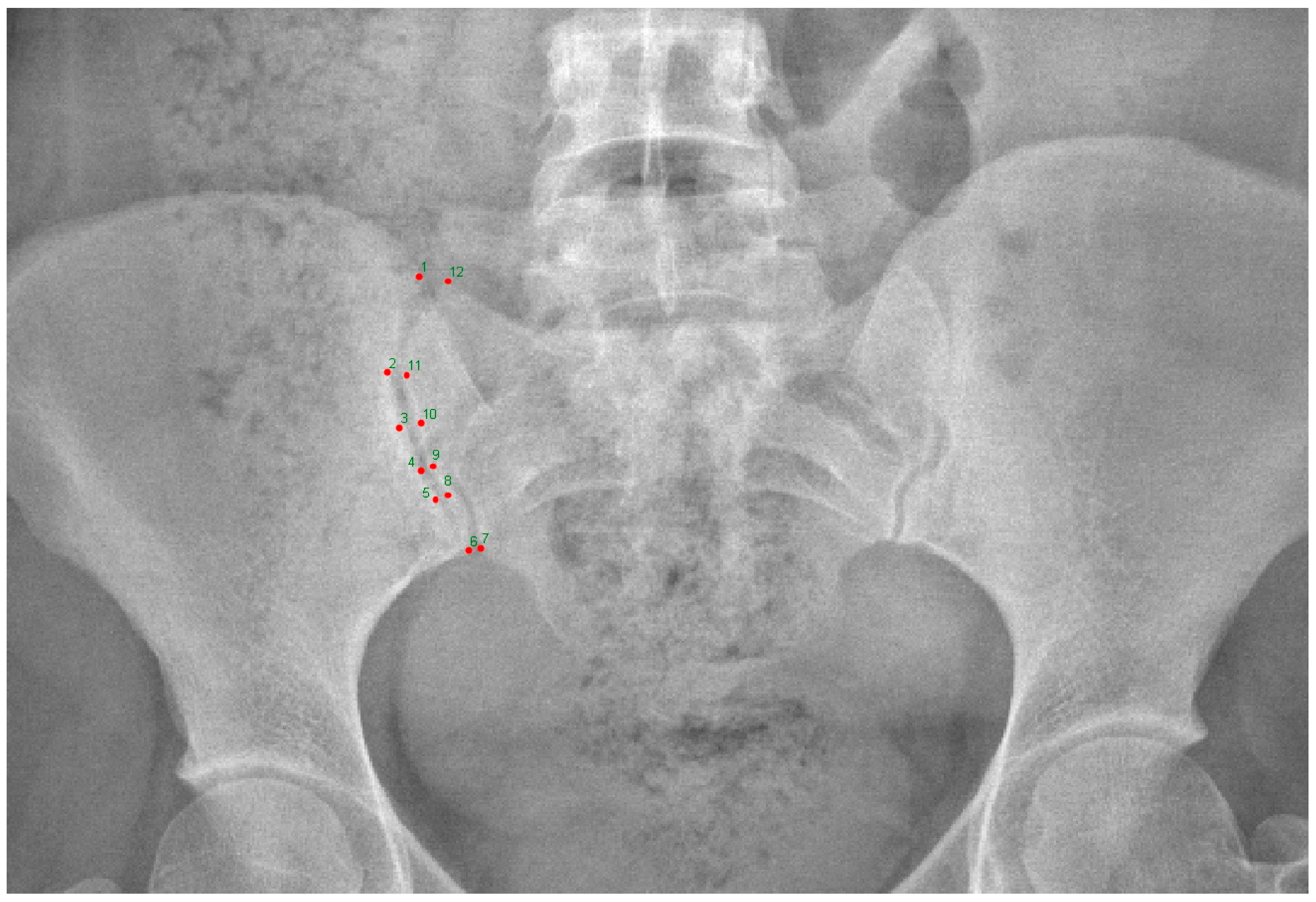 Medicina 61 00039 g002