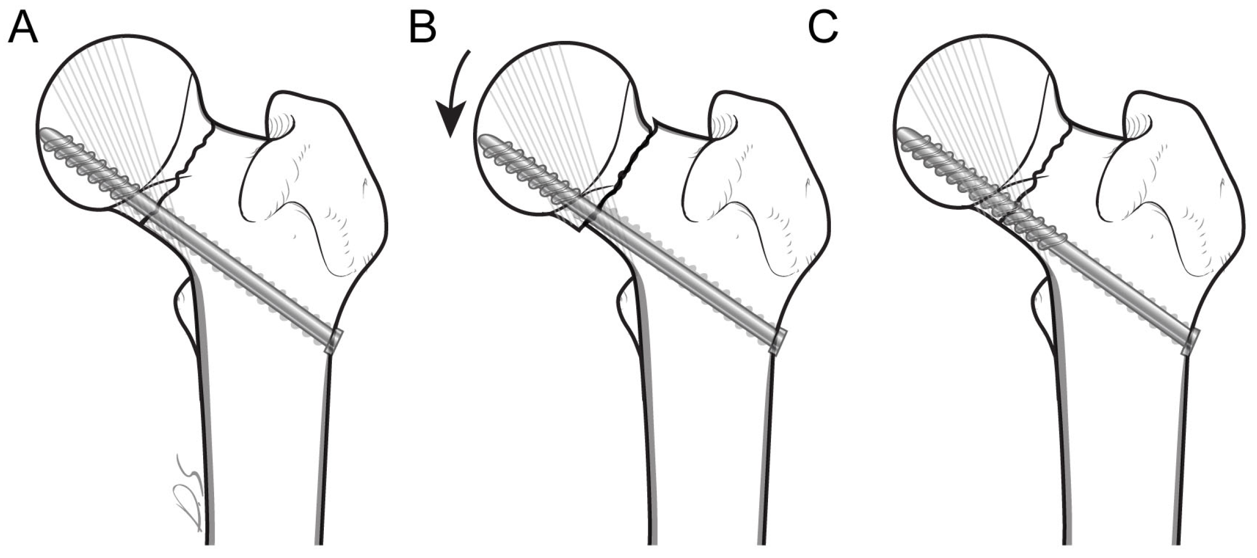 Medicina 61 00040 g002