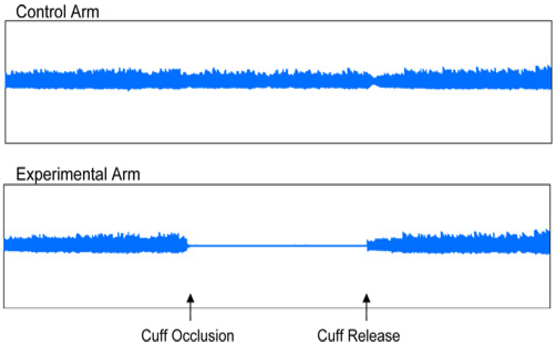 Medicina 61 00043 g004
