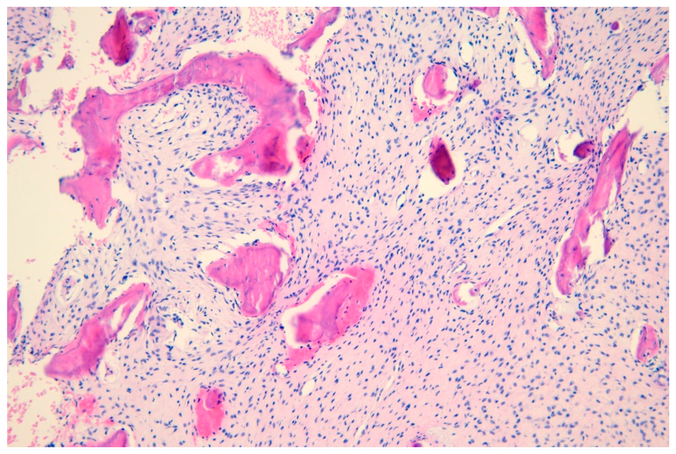 Medicina 61 00045 g001 Medicina 61 00045 g001