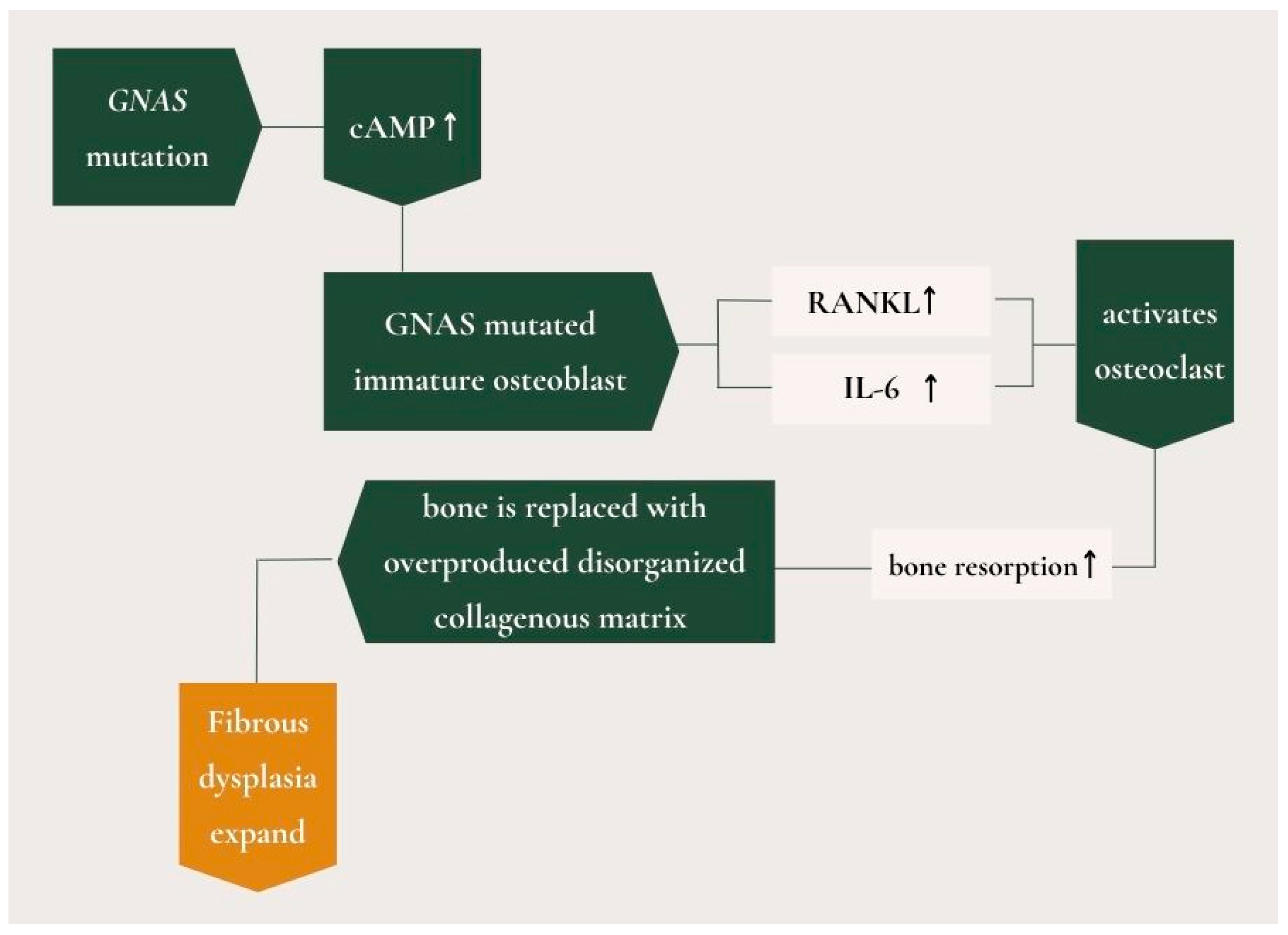 Medicina 61 00045 g003 Medicina 61 00045 g003