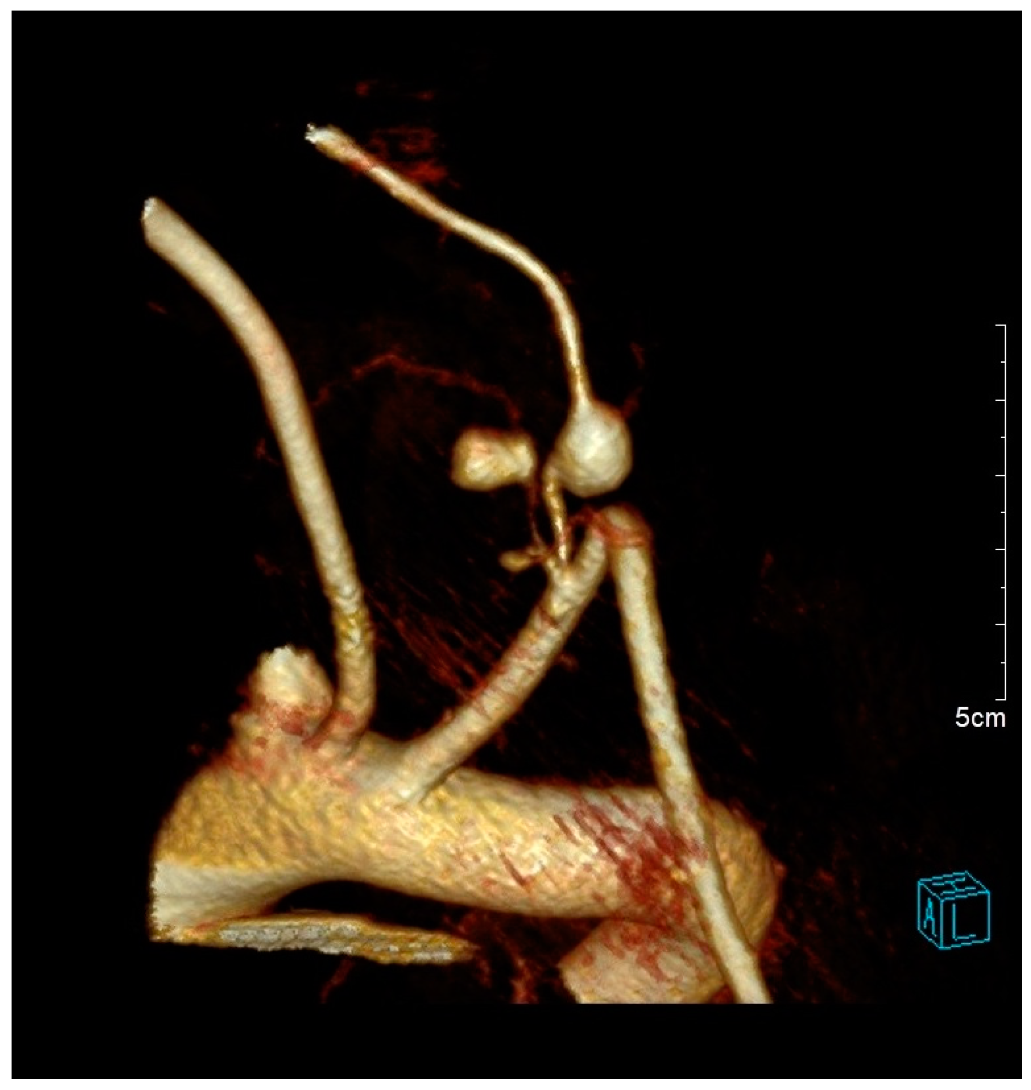 Medicina 61 00049 g003