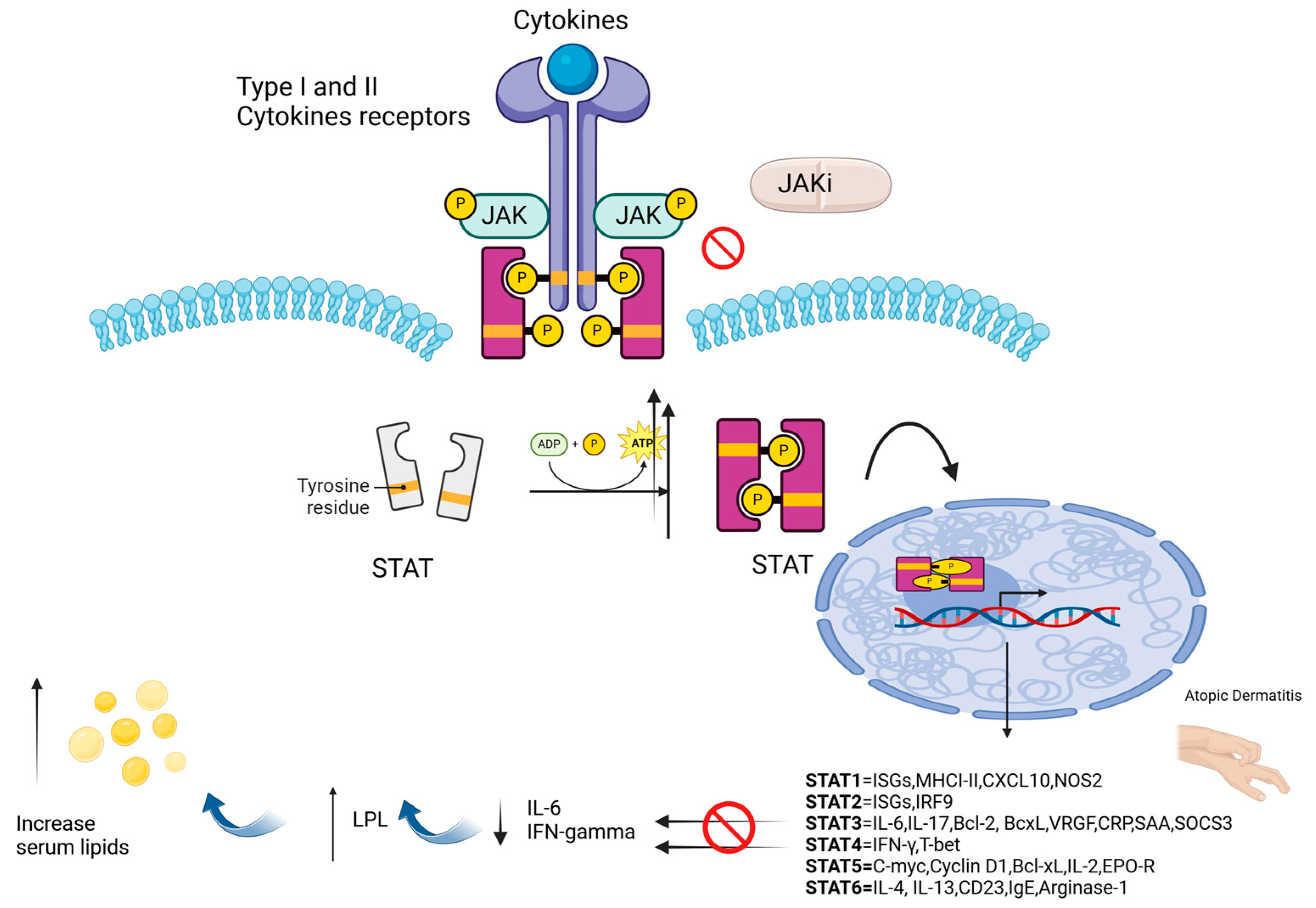 Medicina 61 00054 g001