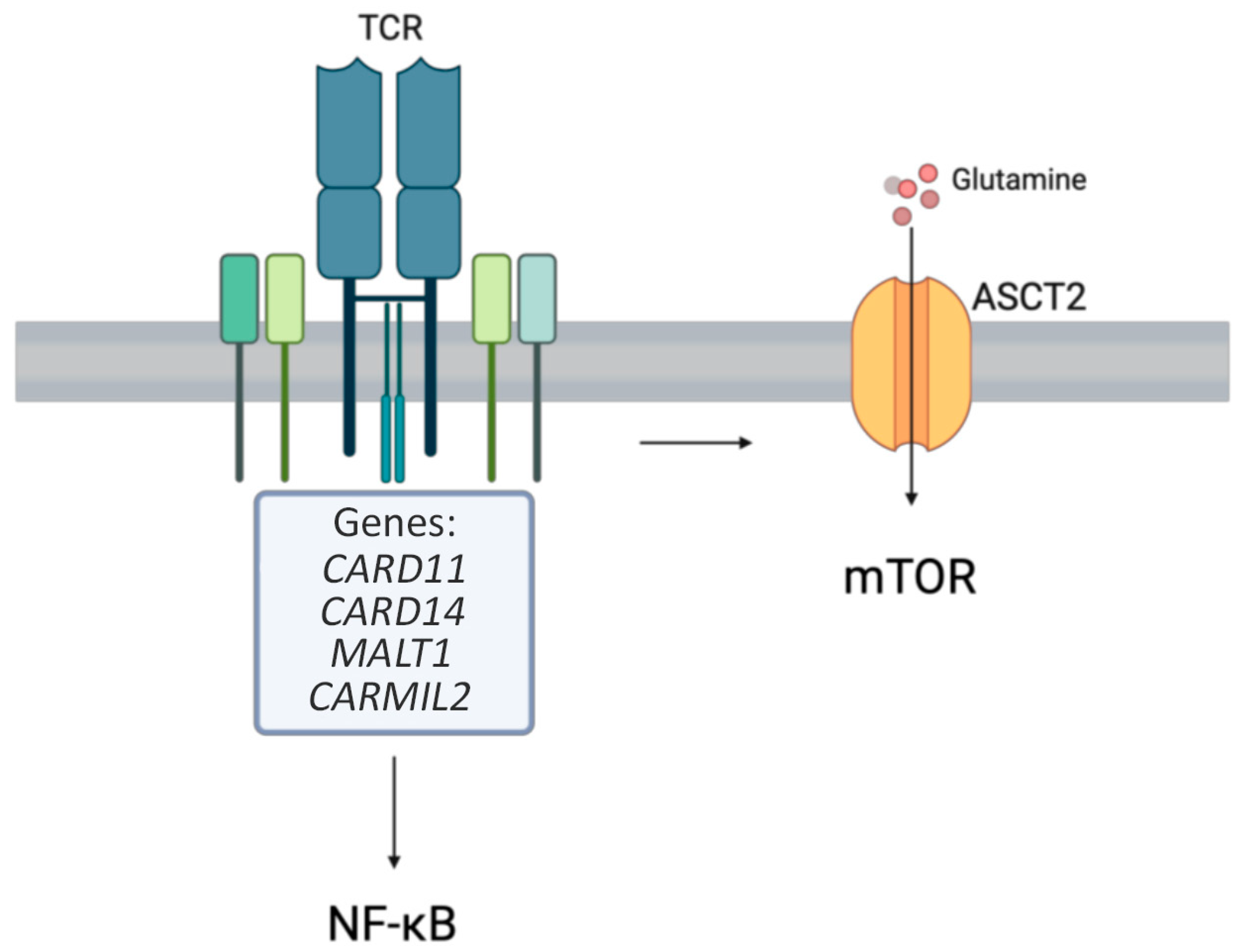 Medicina 61 00062 g001