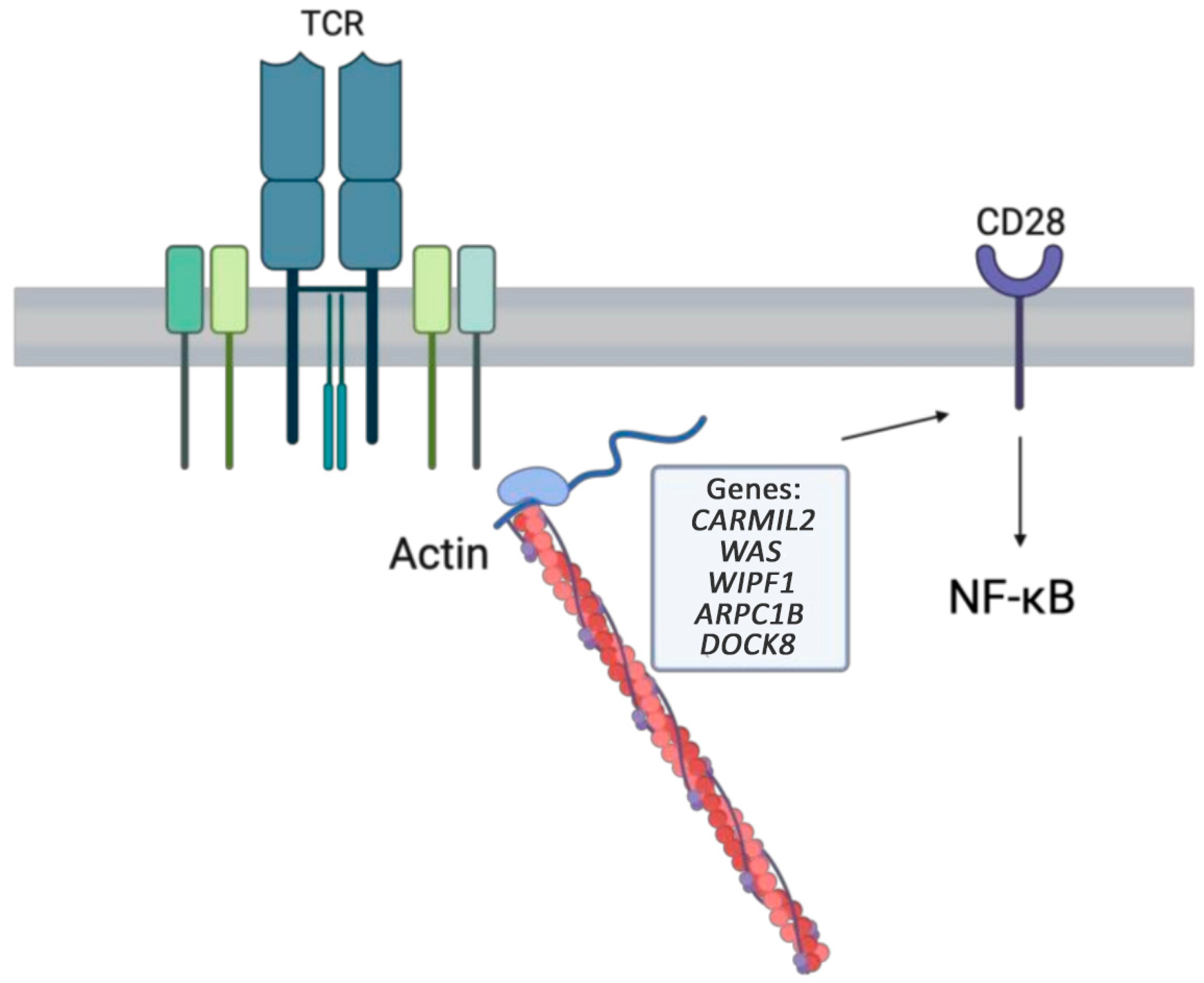 Medicina 61 00062 g004